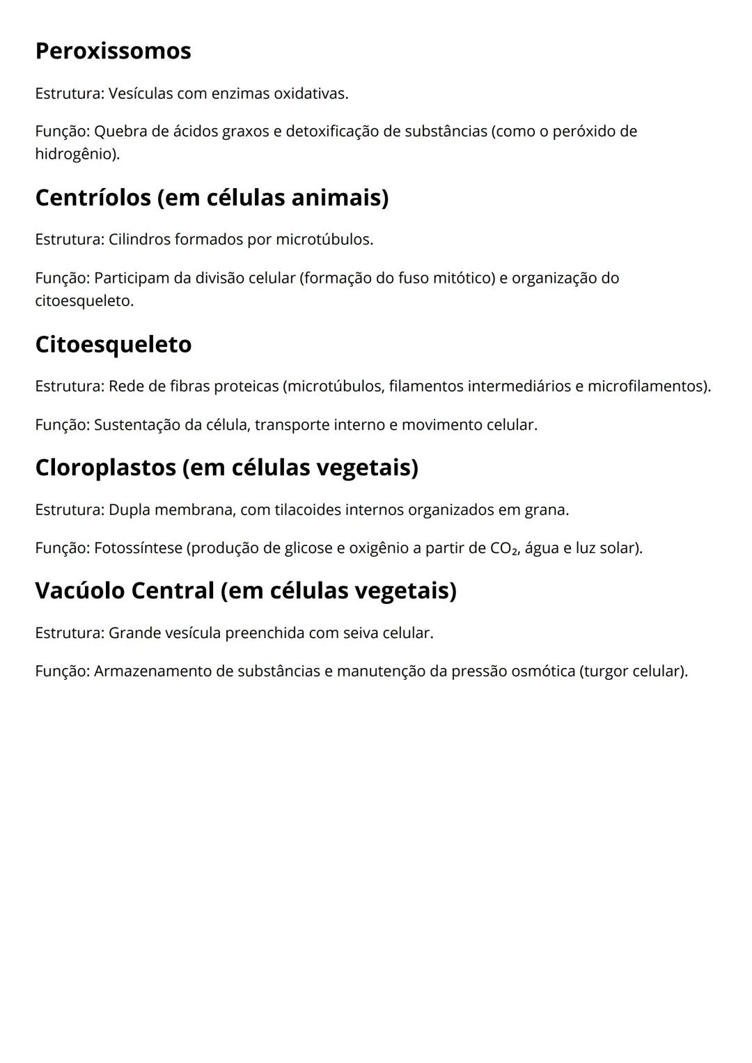 Estrutura e função das organelas
celulares
Núcleo
Estrutura: Envolvido por uma dupla membrana (envoltório nuclear) com poros.
Função: Armaze