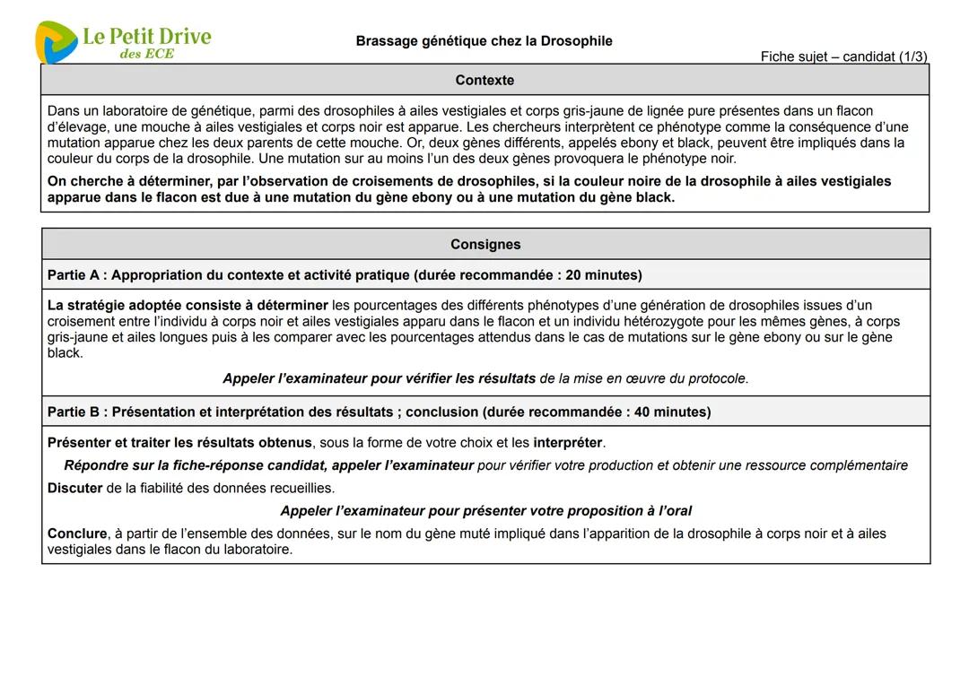 Correction Ece 2025 svt:Brassage génétique chez la Drosophile