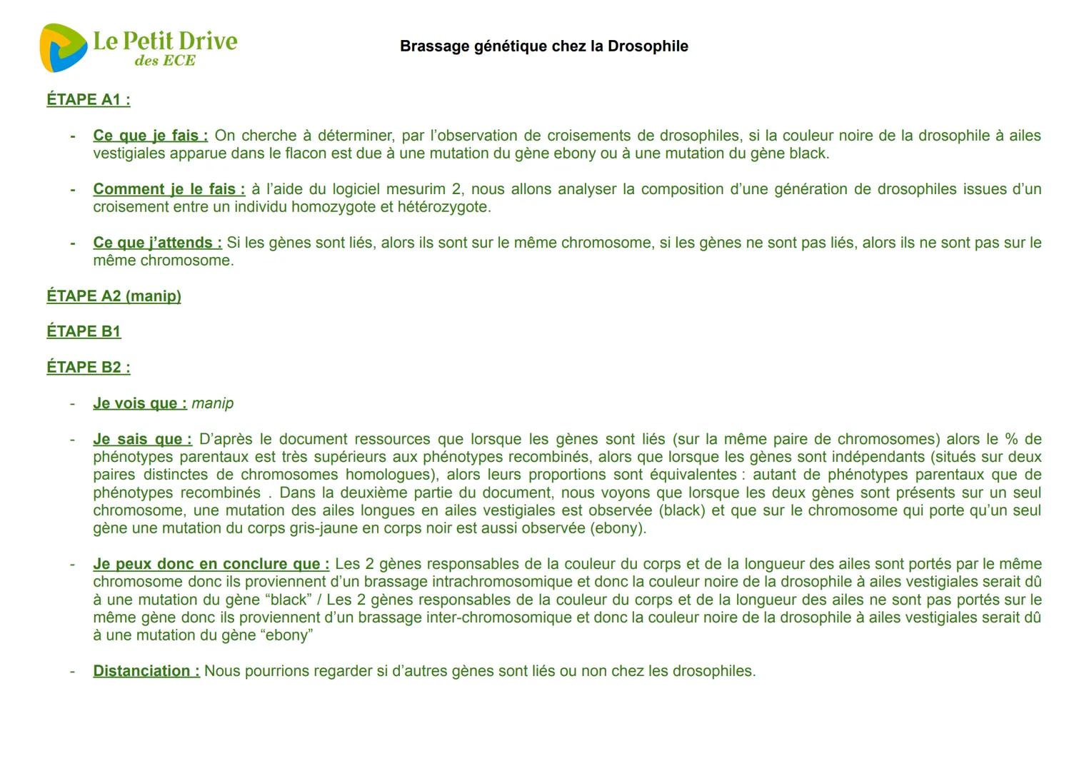 Le Petit Drive
des ECE
Brassage génétique chez la Drosophile
Contexte
Fiche sujet
— candidat (1/3)
Dans un laboratoire de génétique, parmi d