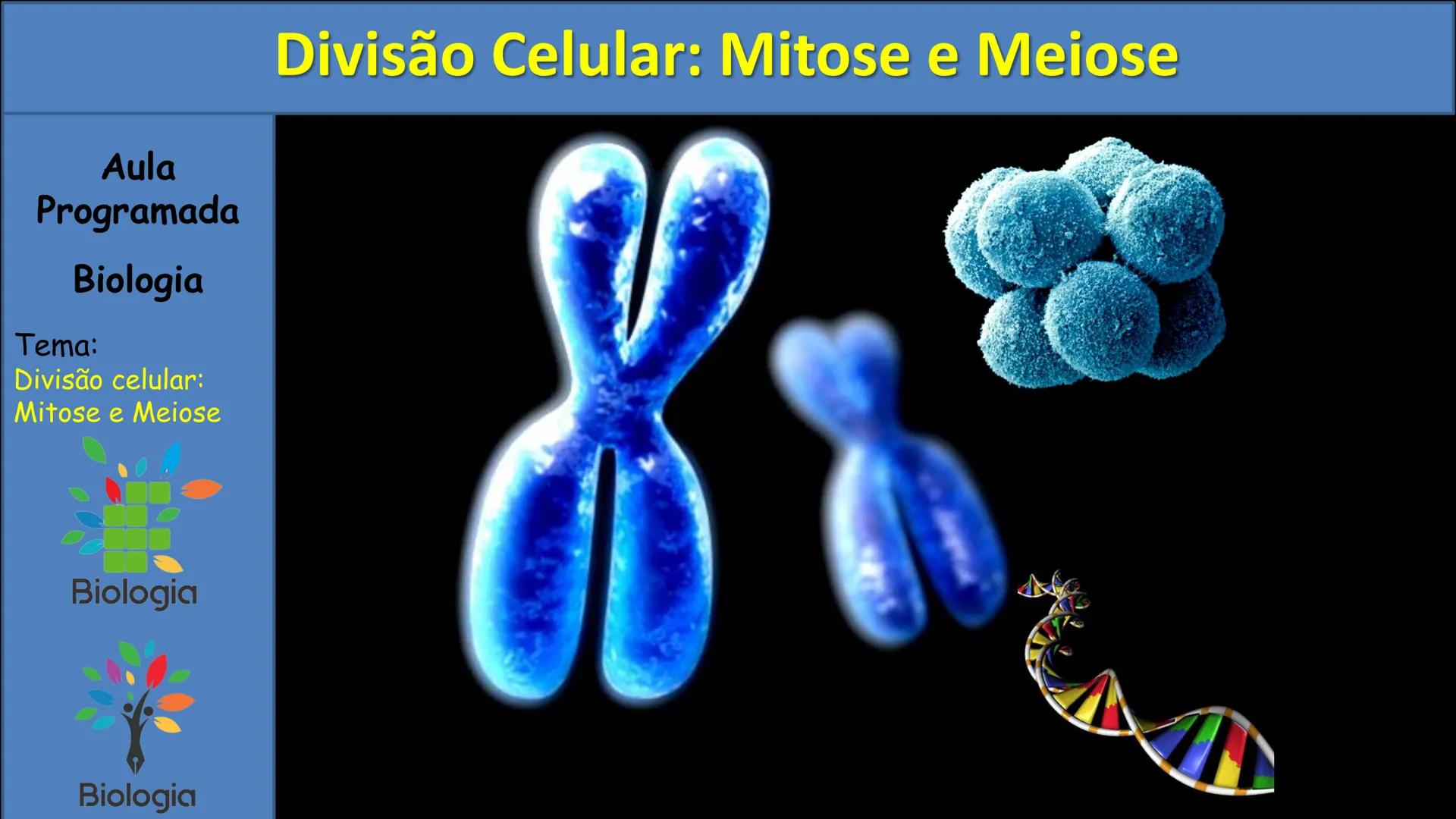 Aula
Programada
Biologia
Tema:
Divisão celular:
Mitose e Meiose
Biologia
Biologia
Divisão Celular: Mitose e Meiose Divisão Celular: Mitose e