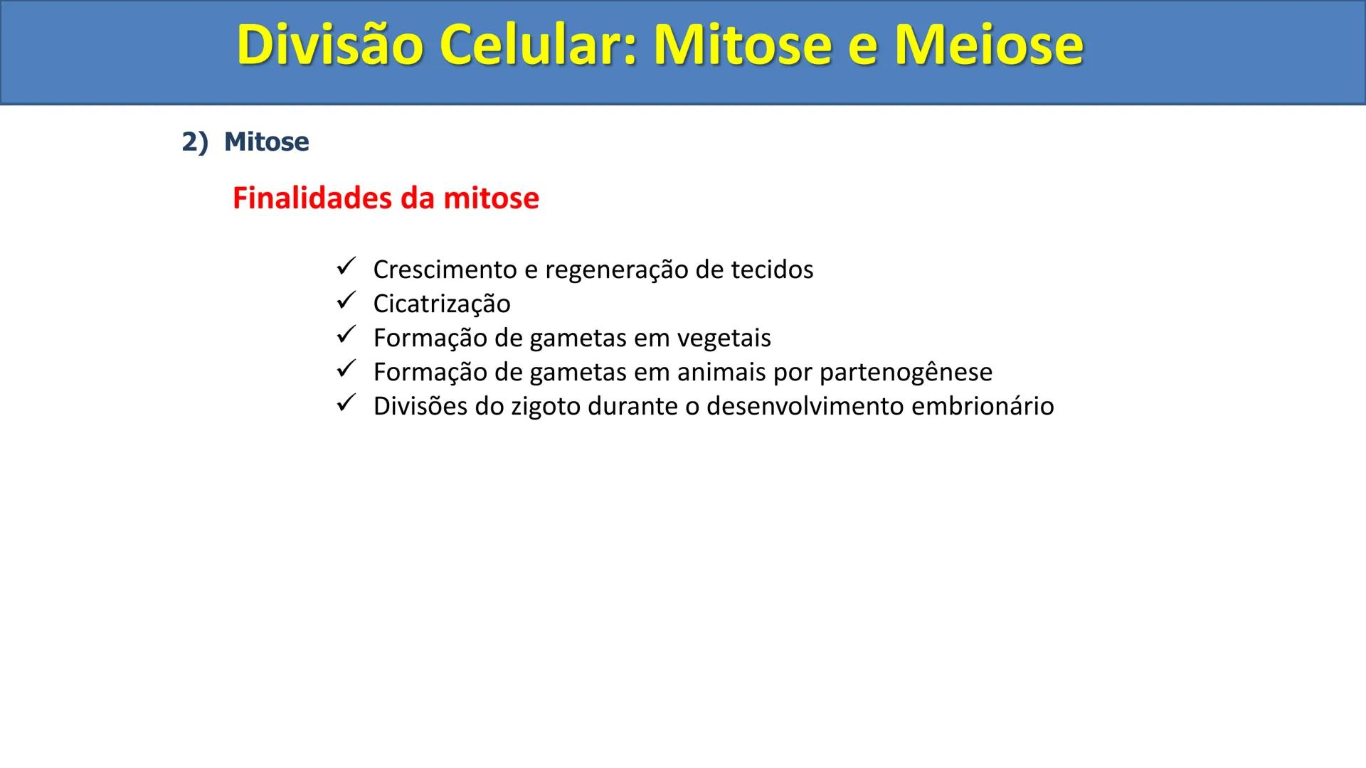 Aula
Programada
Biologia
Tema:
Divisão celular:
Mitose e Meiose
Biologia
Biologia
Divisão Celular: Mitose e Meiose Divisão Celular: Mitose e