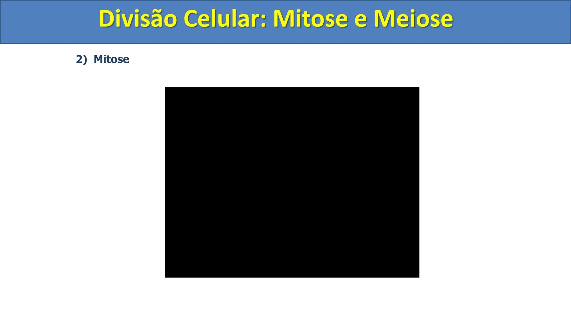 Aula
Programada
Biologia
Tema:
Divisão celular:
Mitose e Meiose
Biologia
Biologia
Divisão Celular: Mitose e Meiose Divisão Celular: Mitose e
