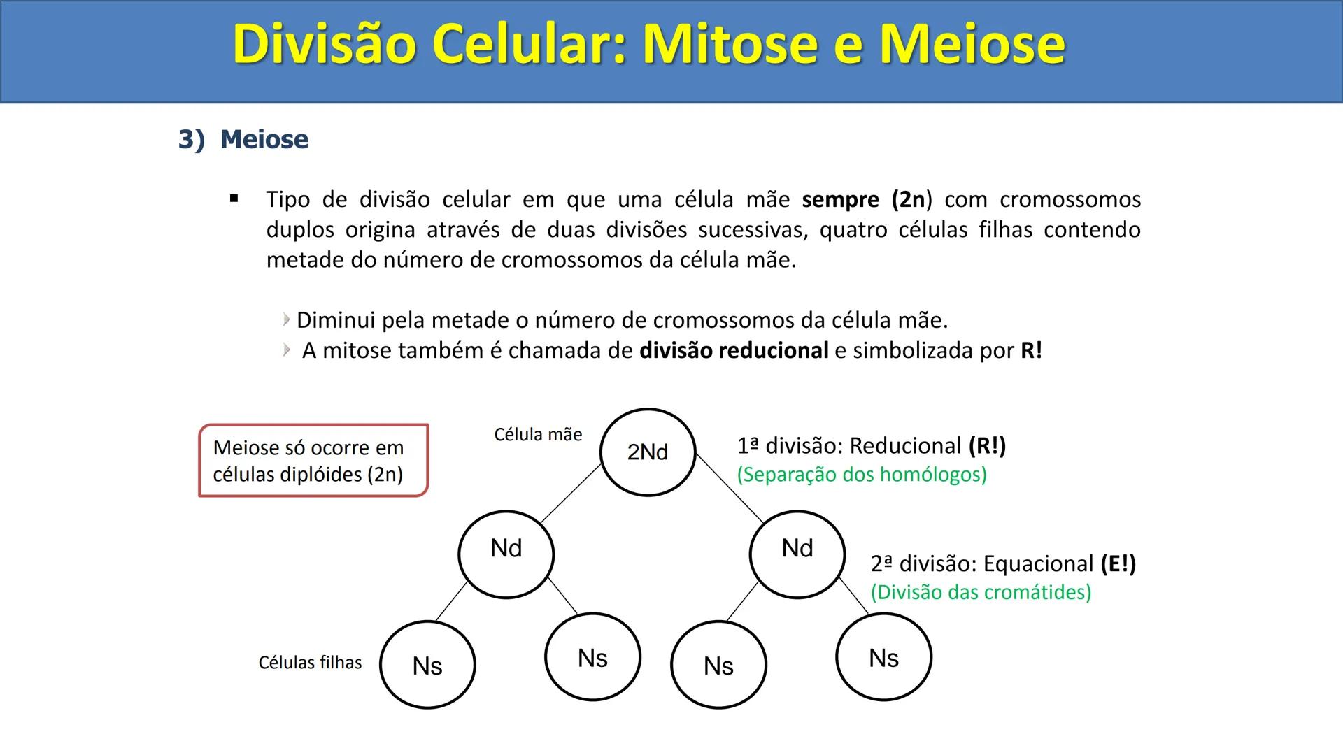 Aula
Programada
Biologia
Tema:
Divisão celular:
Mitose e Meiose
Biologia
Biologia
Divisão Celular: Mitose e Meiose Divisão Celular: Mitose e
