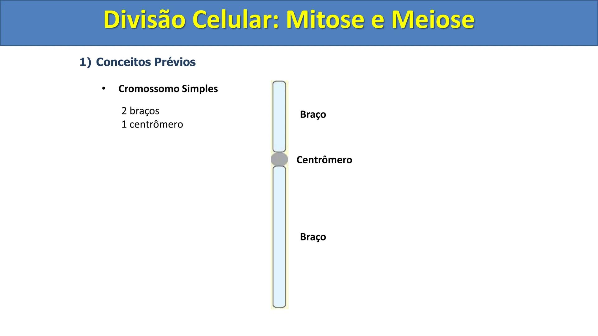 Aula
Programada
Biologia
Tema:
Divisão celular:
Mitose e Meiose
Biologia
Biologia
Divisão Celular: Mitose e Meiose Divisão Celular: Mitose e
