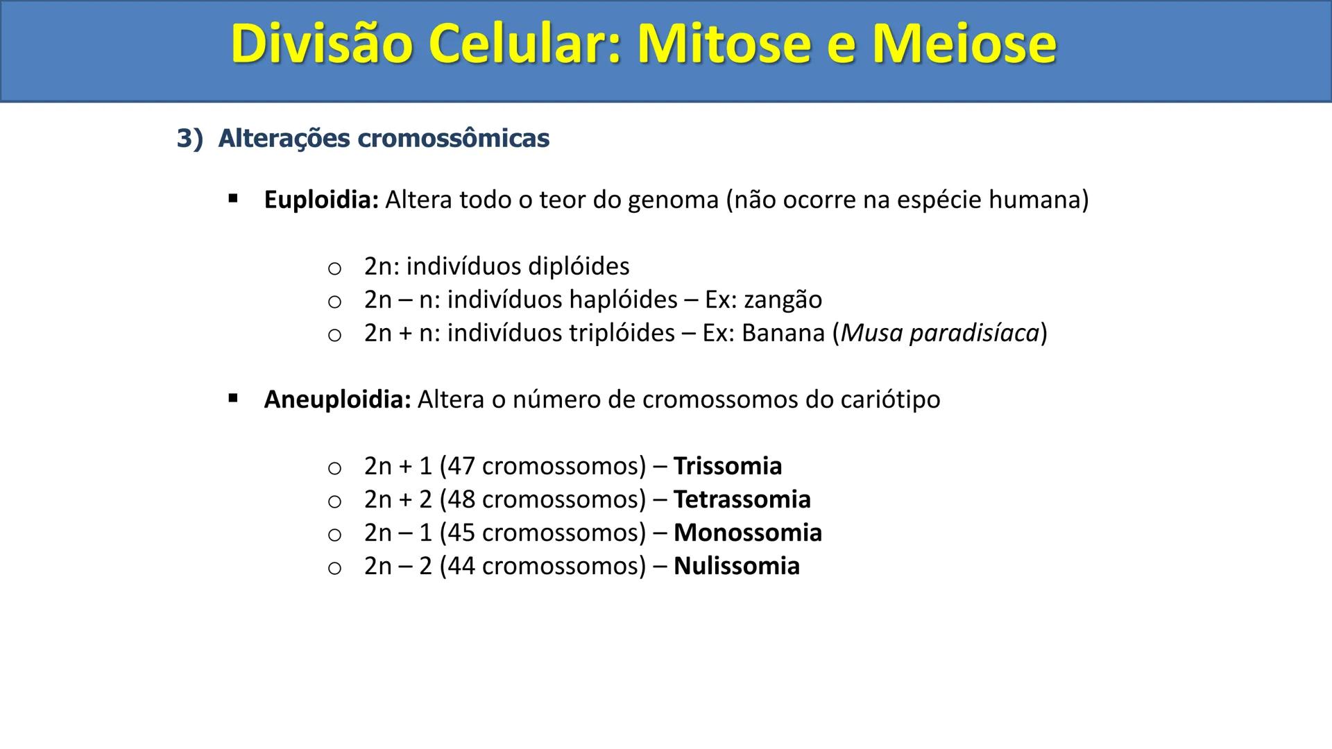 Aula
Programada
Biologia
Tema:
Divisão celular:
Mitose e Meiose
Biologia
Biologia
Divisão Celular: Mitose e Meiose Divisão Celular: Mitose e