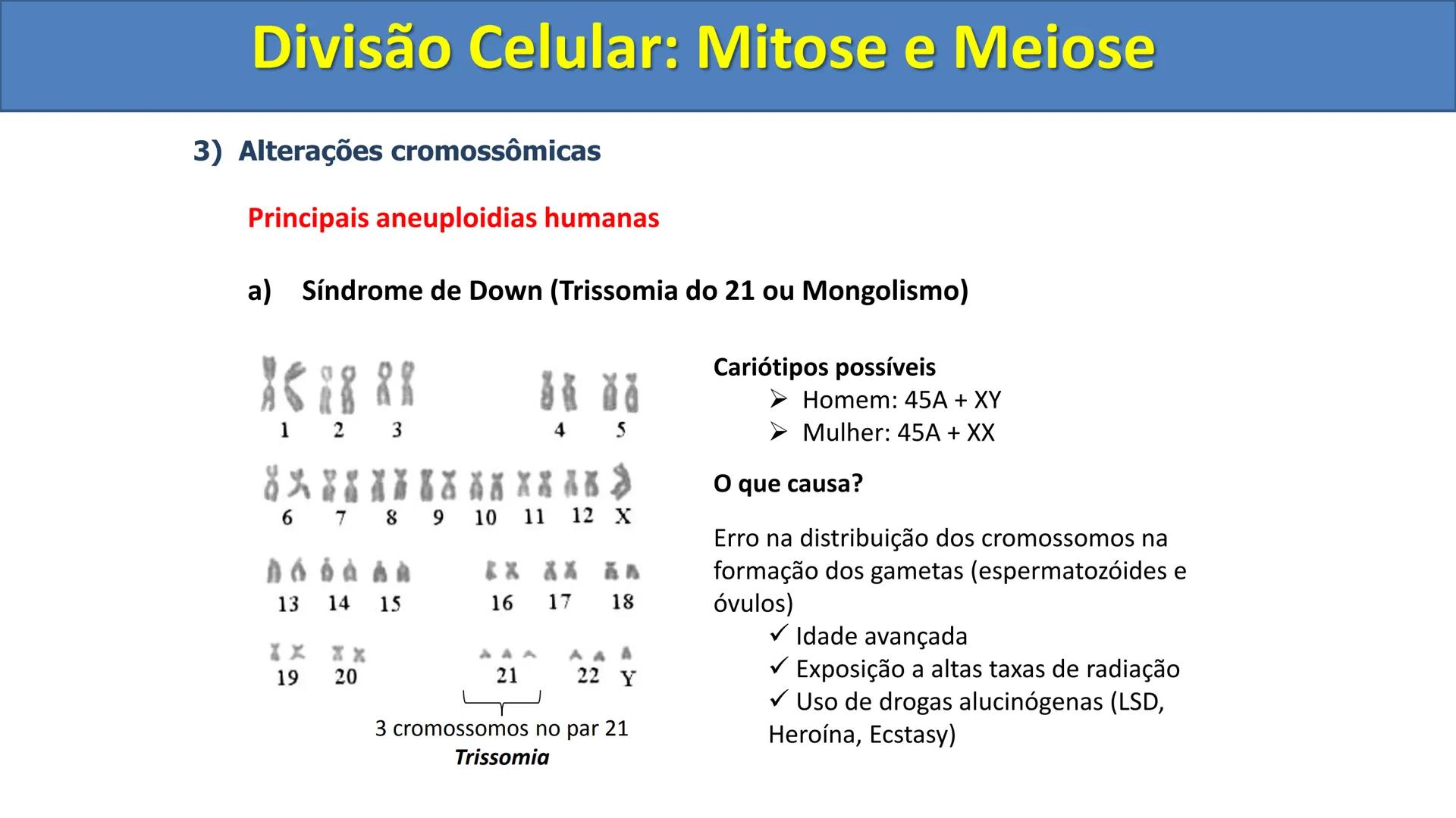 Aula
Programada
Biologia
Tema:
Divisão celular:
Mitose e Meiose
Biologia
Biologia
Divisão Celular: Mitose e Meiose Divisão Celular: Mitose e