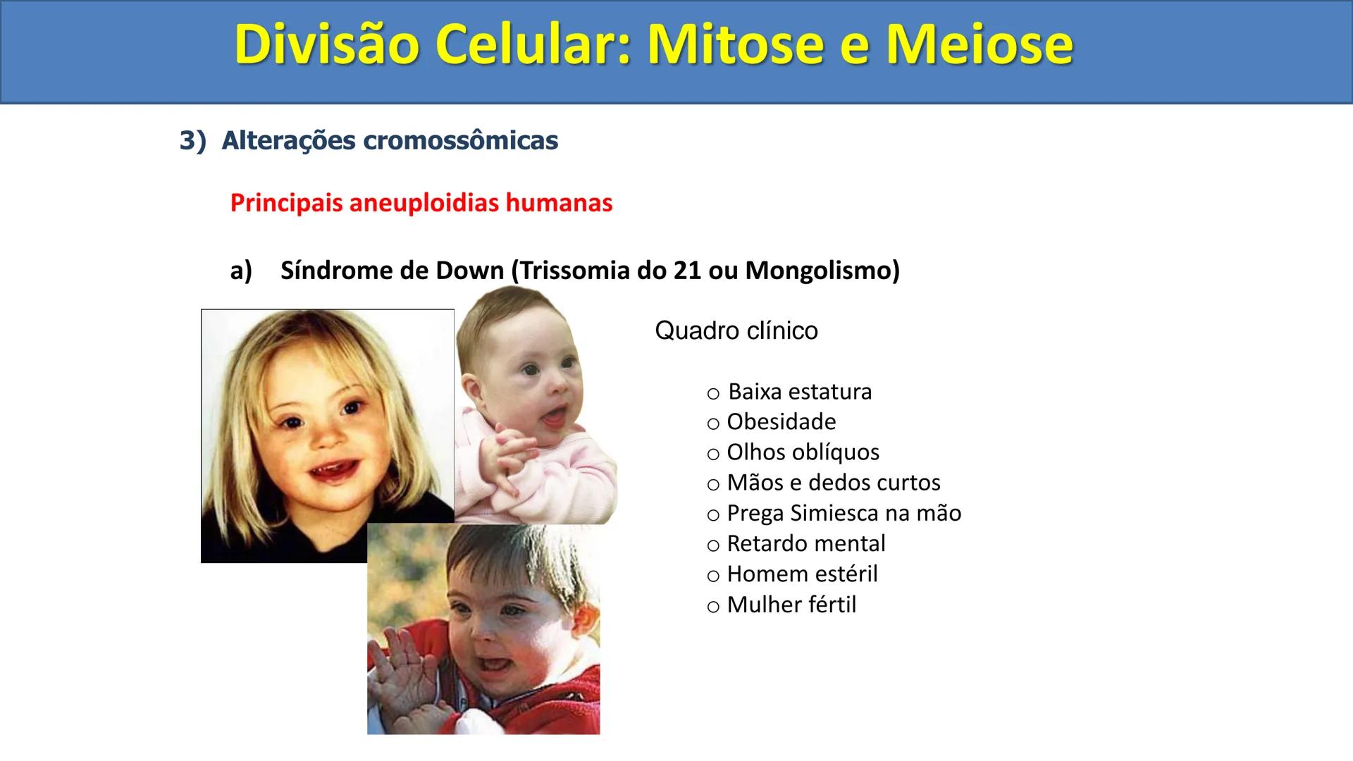 Aula
Programada
Biologia
Tema:
Divisão celular:
Mitose e Meiose
Biologia
Biologia
Divisão Celular: Mitose e Meiose Divisão Celular: Mitose e