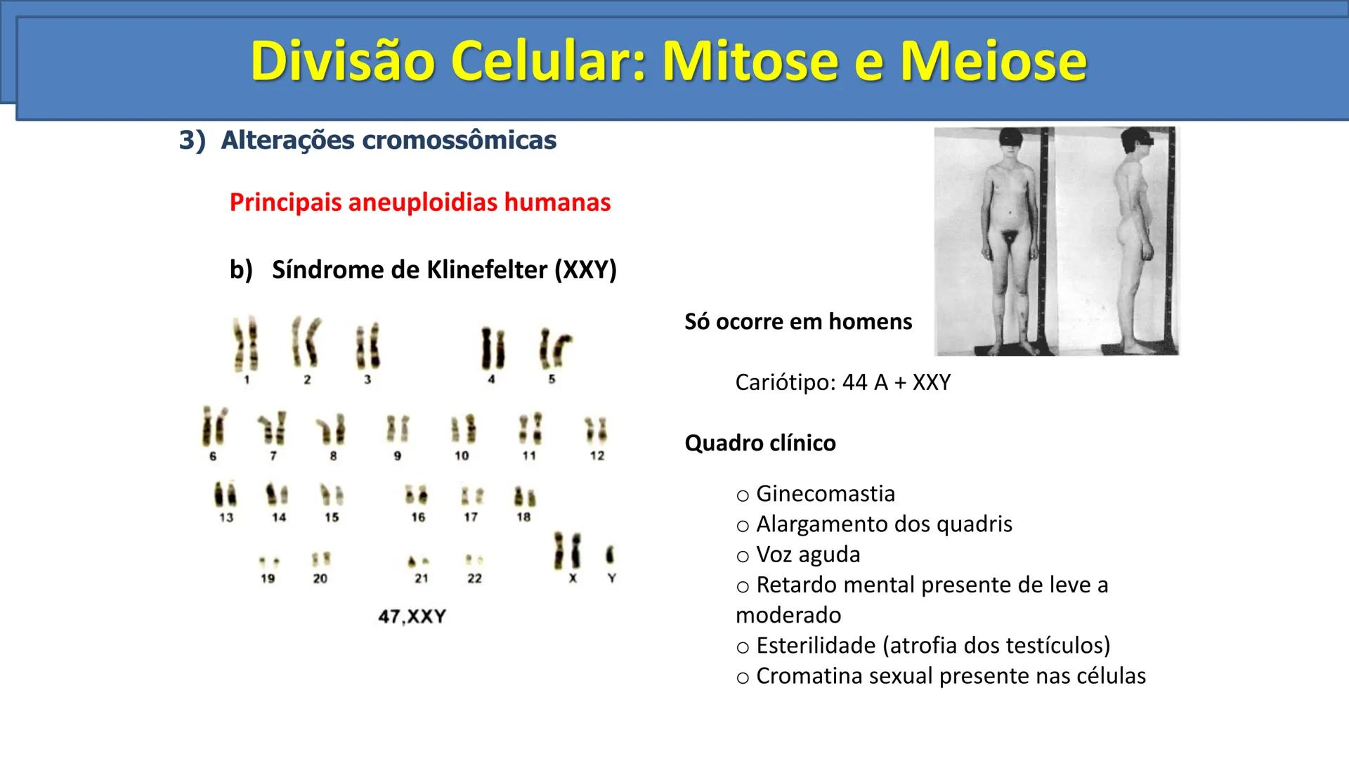 Aula
Programada
Biologia
Tema:
Divisão celular:
Mitose e Meiose
Biologia
Biologia
Divisão Celular: Mitose e Meiose Divisão Celular: Mitose e