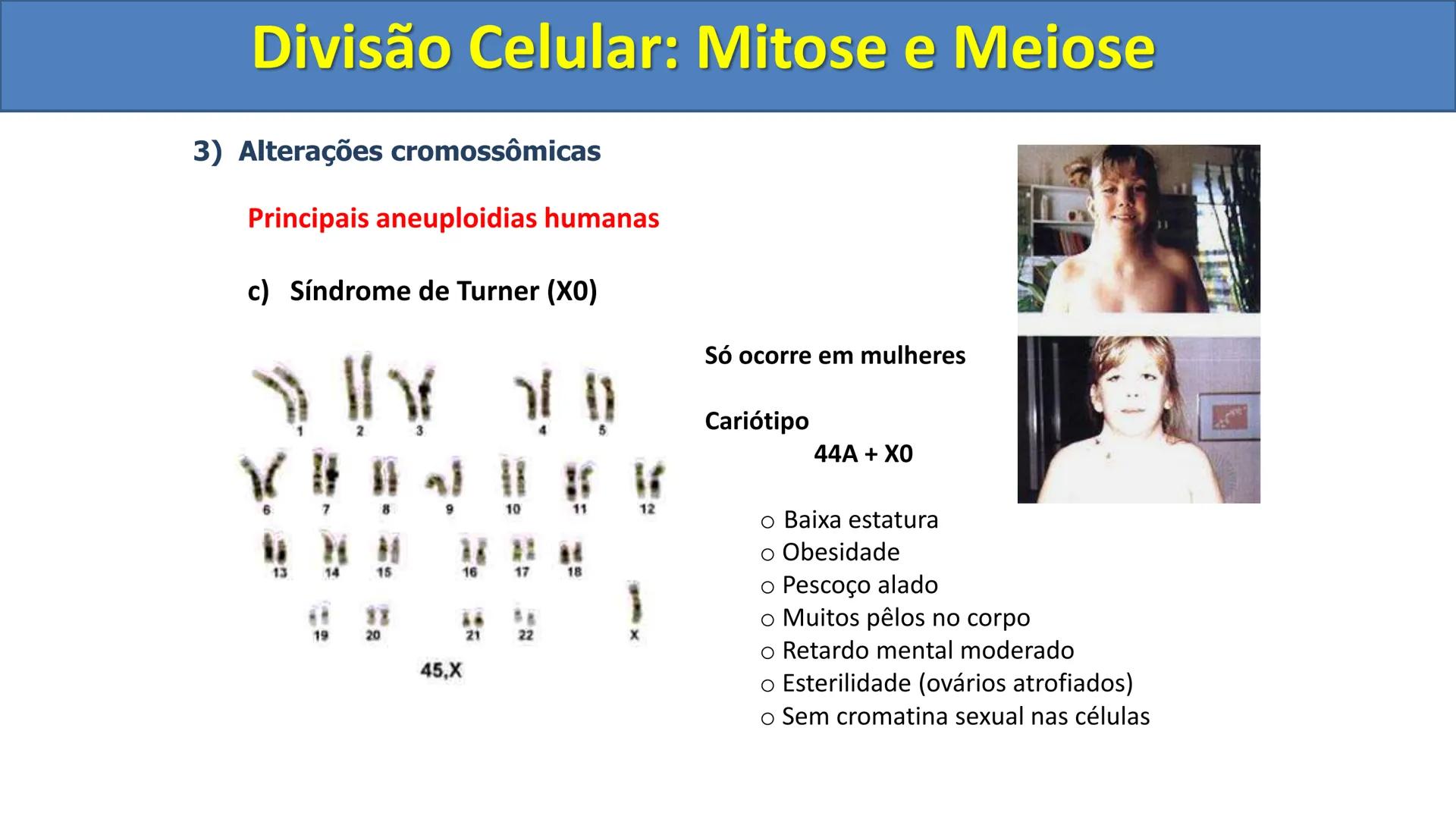 Aula
Programada
Biologia
Tema:
Divisão celular:
Mitose e Meiose
Biologia
Biologia
Divisão Celular: Mitose e Meiose Divisão Celular: Mitose e