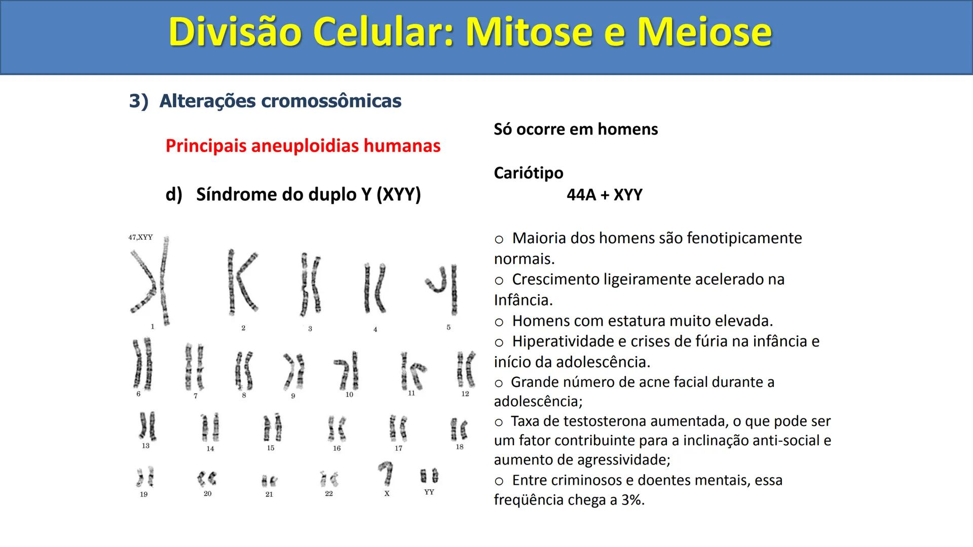 Aula
Programada
Biologia
Tema:
Divisão celular:
Mitose e Meiose
Biologia
Biologia
Divisão Celular: Mitose e Meiose Divisão Celular: Mitose e