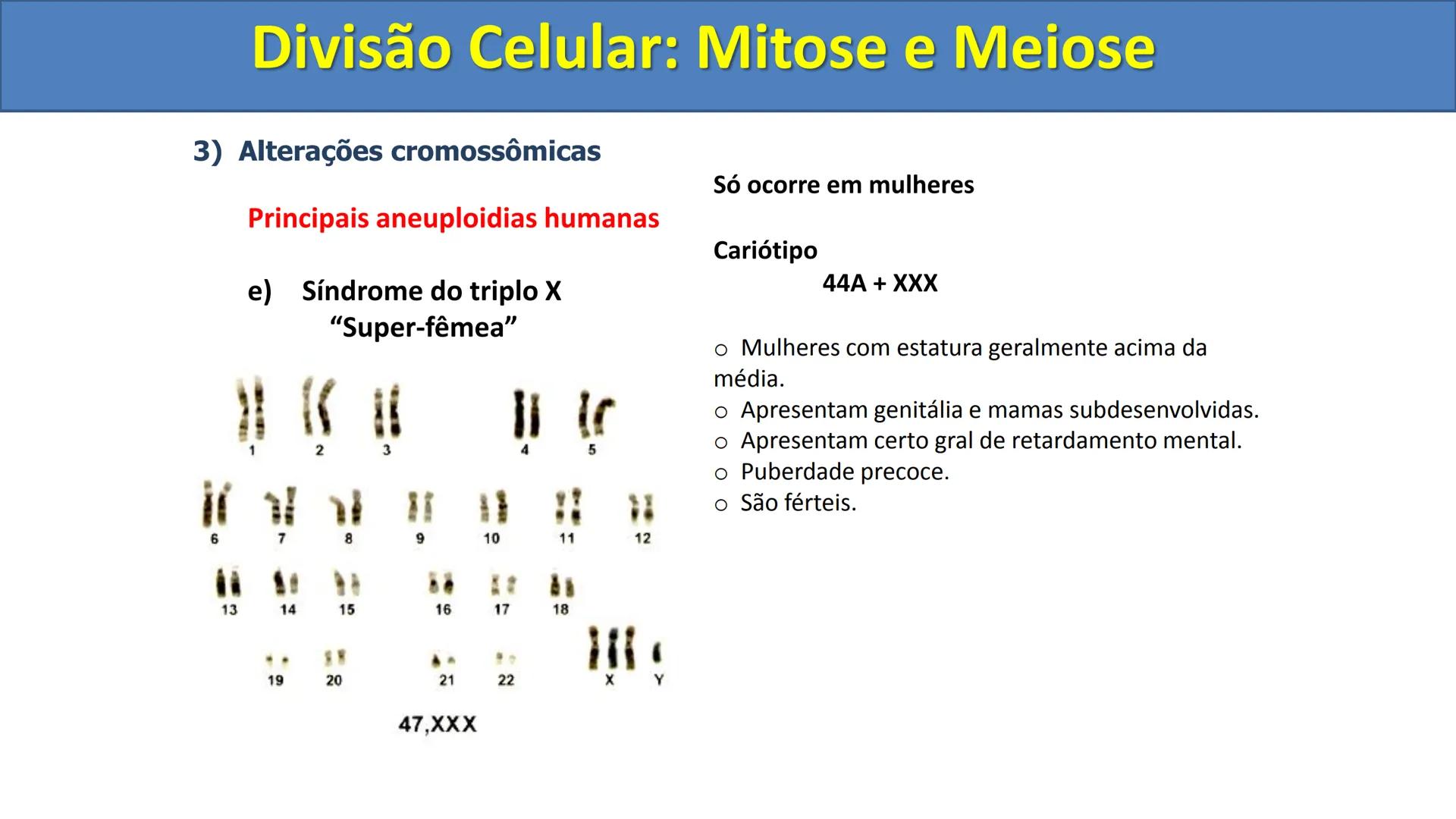 Aula
Programada
Biologia
Tema:
Divisão celular:
Mitose e Meiose
Biologia
Biologia
Divisão Celular: Mitose e Meiose Divisão Celular: Mitose e