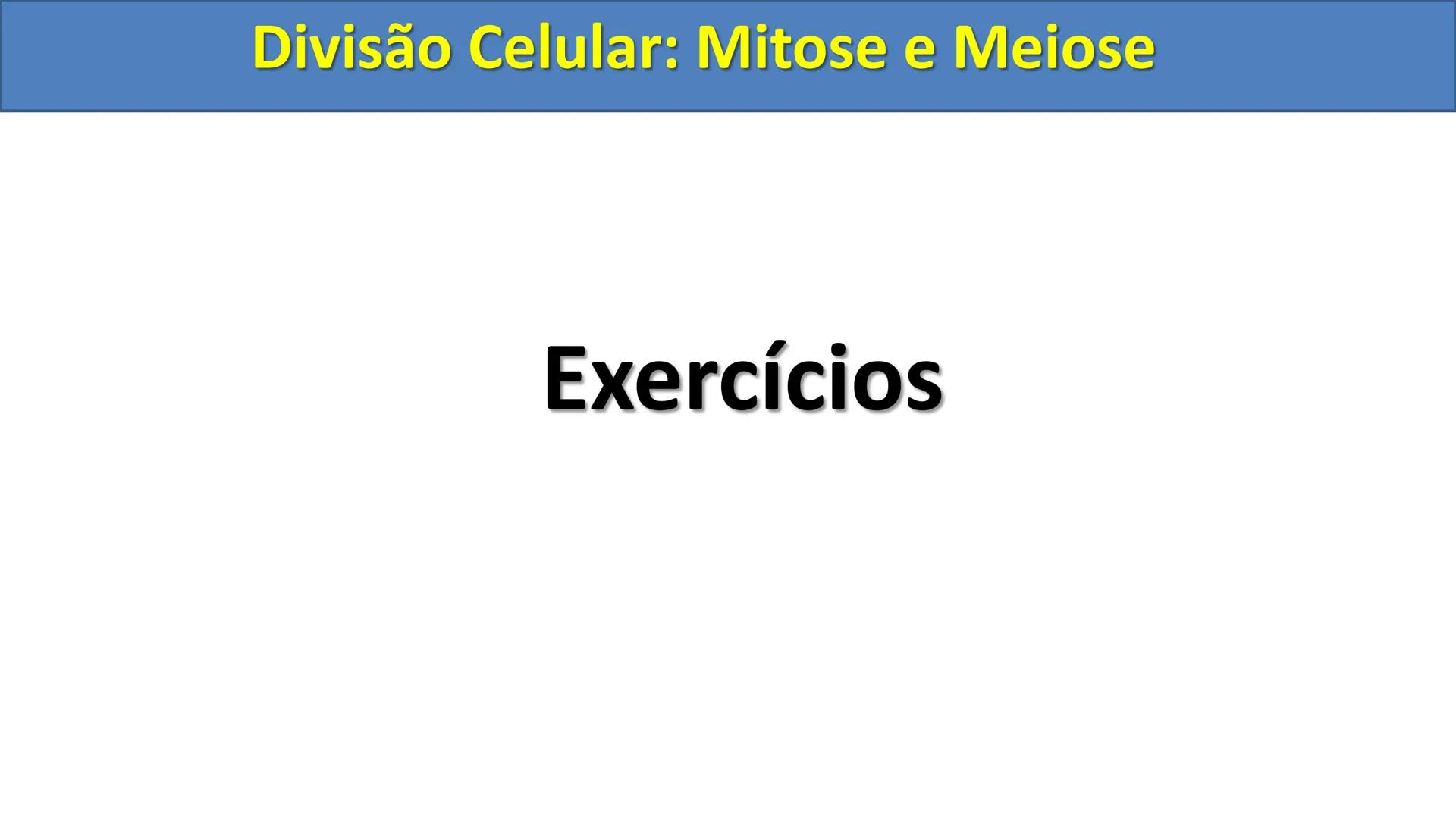 Aula
Programada
Biologia
Tema:
Divisão celular:
Mitose e Meiose
Biologia
Biologia
Divisão Celular: Mitose e Meiose Divisão Celular: Mitose e