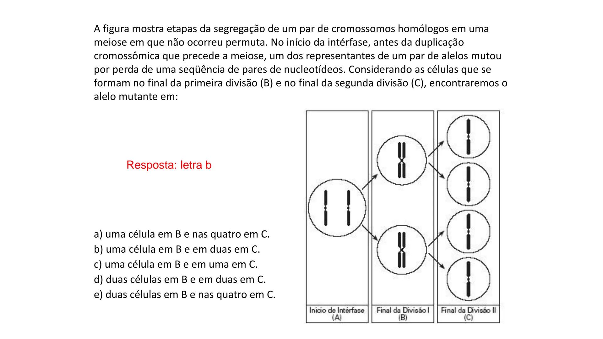 Aula
Programada
Biologia
Tema:
Divisão celular:
Mitose e Meiose
Biologia
Biologia
Divisão Celular: Mitose e Meiose Divisão Celular: Mitose e