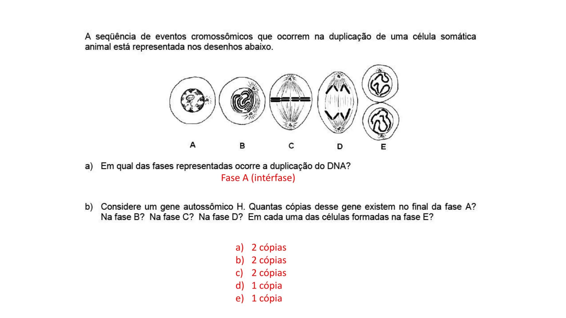 Aula
Programada
Biologia
Tema:
Divisão celular:
Mitose e Meiose
Biologia
Biologia
Divisão Celular: Mitose e Meiose Divisão Celular: Mitose e