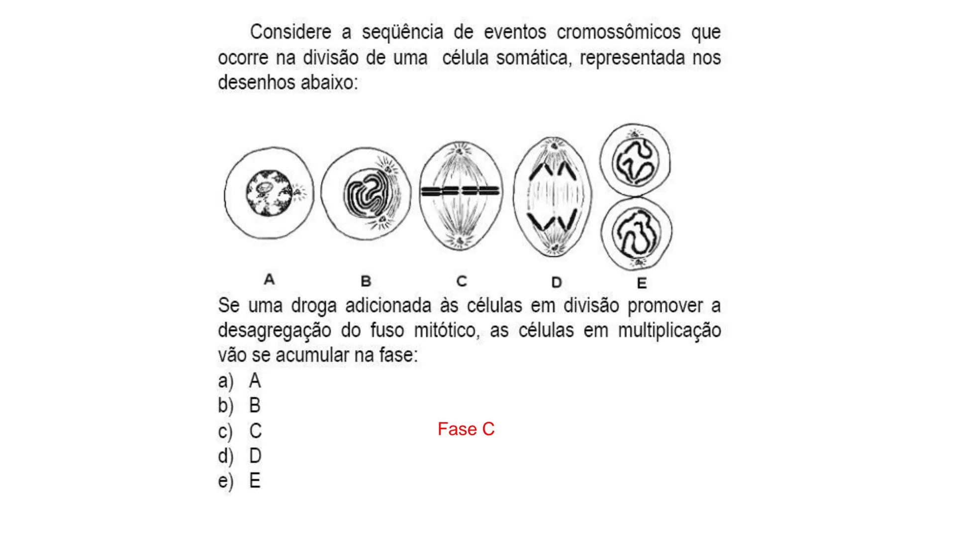 Aula
Programada
Biologia
Tema:
Divisão celular:
Mitose e Meiose
Biologia
Biologia
Divisão Celular: Mitose e Meiose Divisão Celular: Mitose e