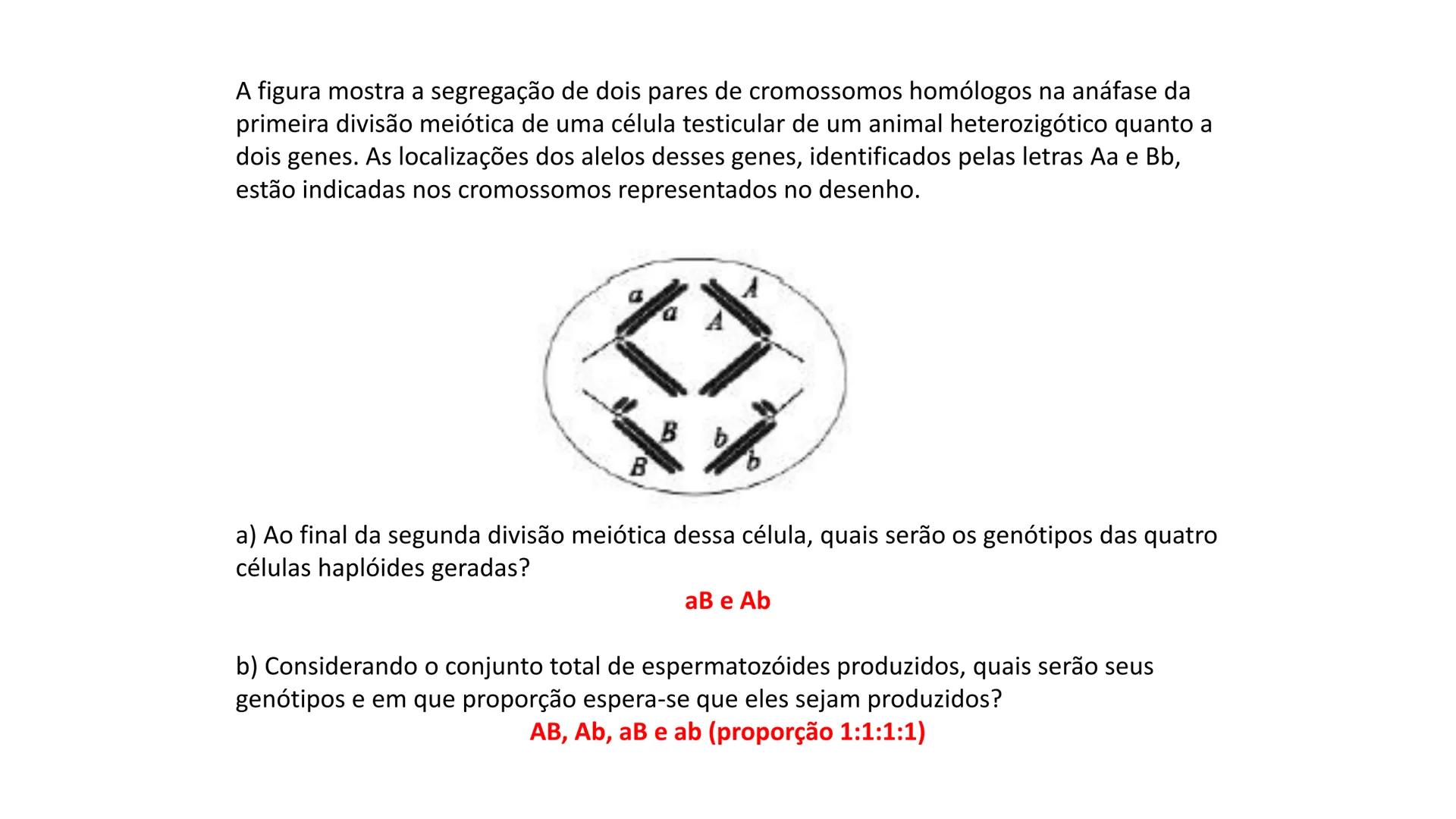 Aula
Programada
Biologia
Tema:
Divisão celular:
Mitose e Meiose
Biologia
Biologia
Divisão Celular: Mitose e Meiose Divisão Celular: Mitose e