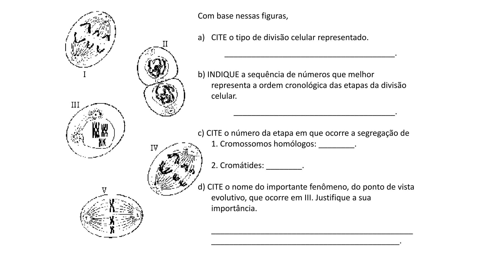 Aula
Programada
Biologia
Tema:
Divisão celular:
Mitose e Meiose
Biologia
Biologia
Divisão Celular: Mitose e Meiose Divisão Celular: Mitose e