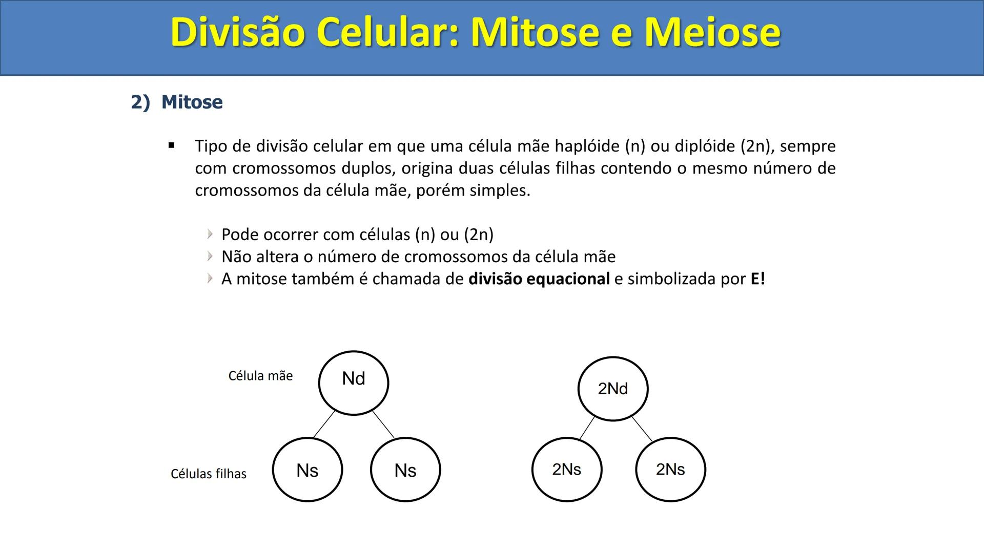 Aula
Programada
Biologia
Tema:
Divisão celular:
Mitose e Meiose
Biologia
Biologia
Divisão Celular: Mitose e Meiose Divisão Celular: Mitose e