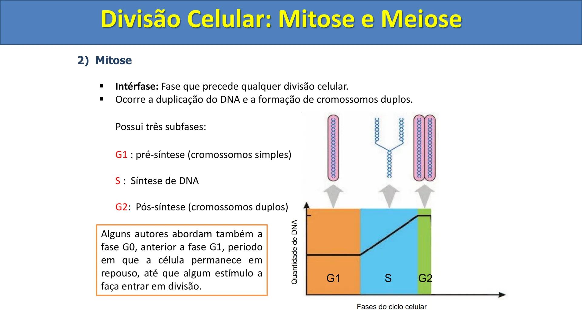 Aula
Programada
Biologia
Tema:
Divisão celular:
Mitose e Meiose
Biologia
Biologia
Divisão Celular: Mitose e Meiose Divisão Celular: Mitose e