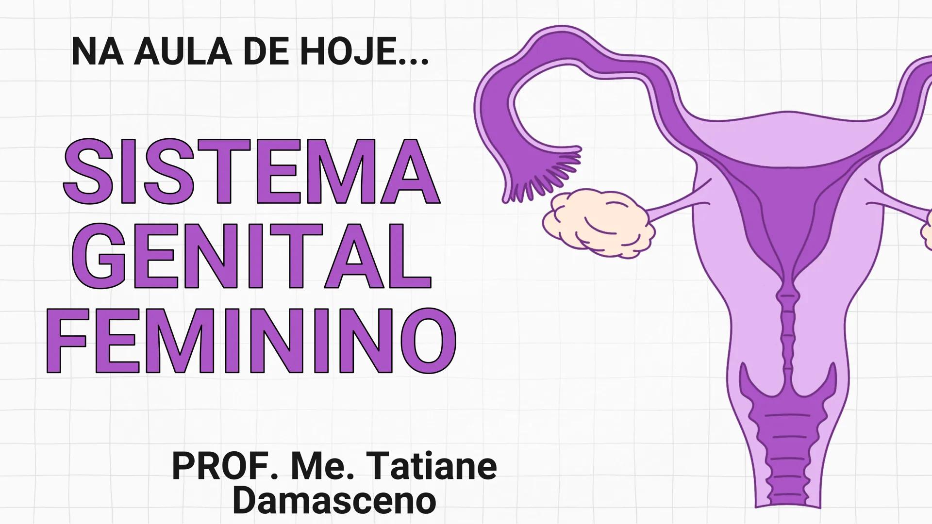 NA AULA DE HOJE...
SISTEMA
GENITAL
FEMININO
PROF. Me. Tatiane
Damasceno # Porque só as mulheres menstruam?
O que você acha? # Porque só a