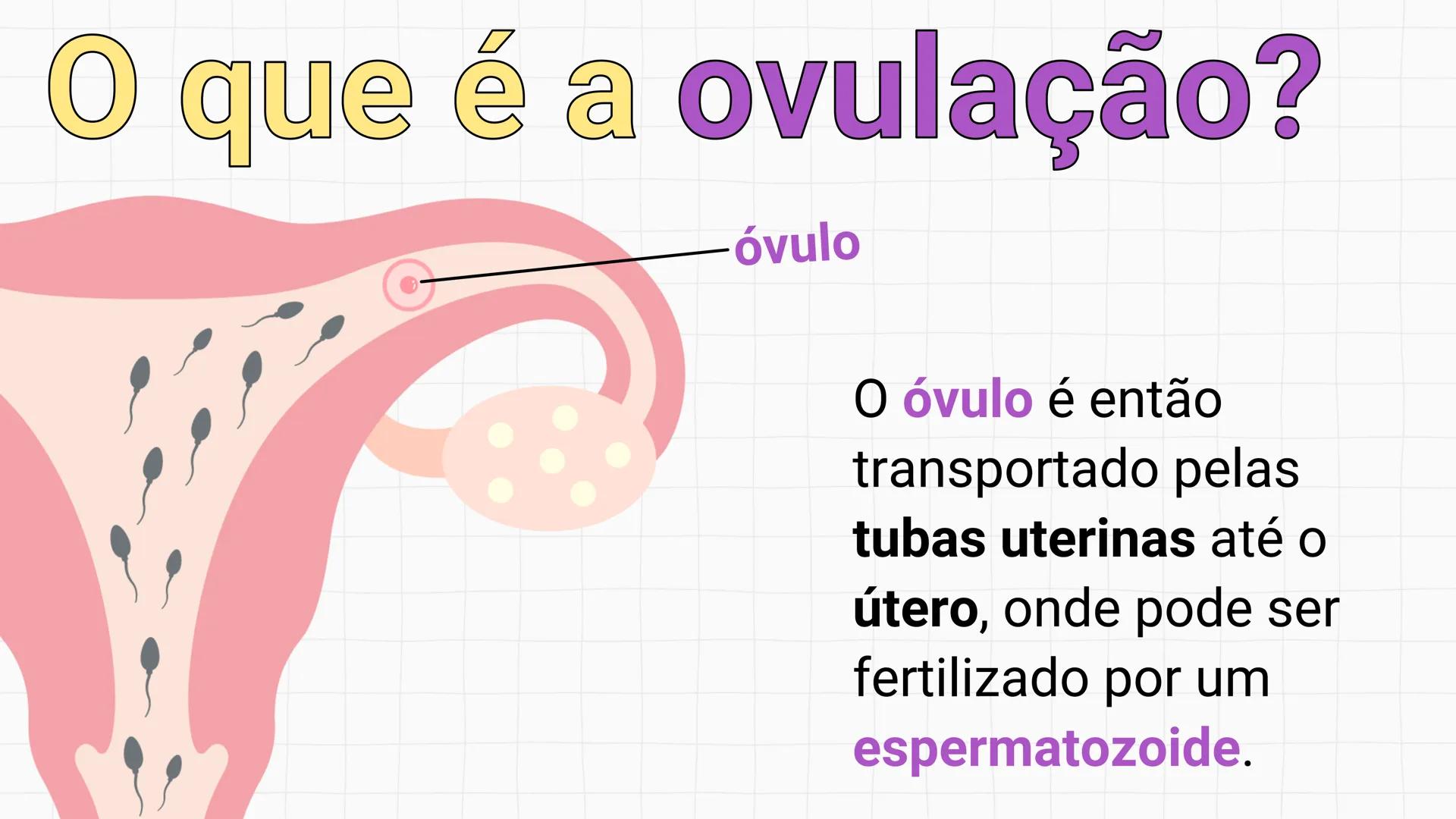 NA AULA DE HOJE...
SISTEMA
GENITAL
FEMININO
PROF. Me. Tatiane
Damasceno # Porque só as mulheres menstruam?
O que você acha? # Porque só a