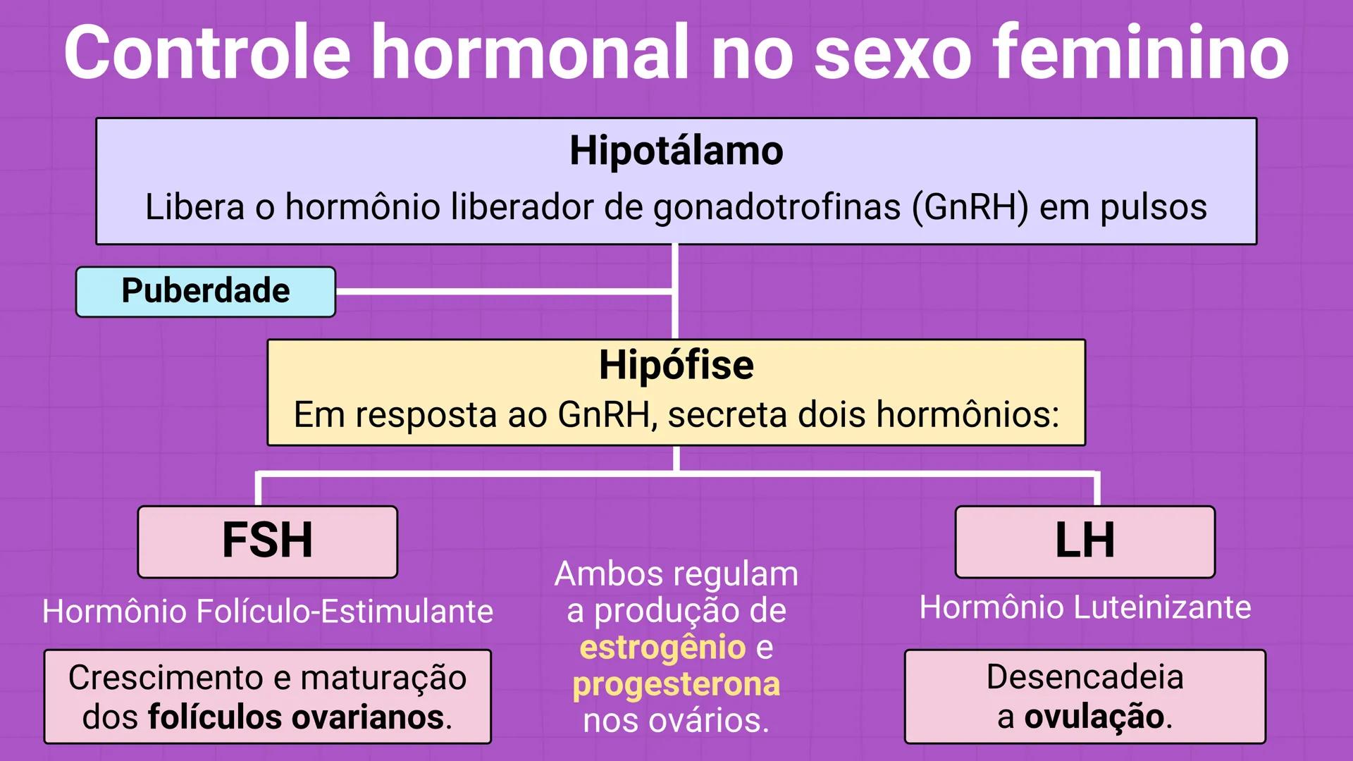 NA AULA DE HOJE...
SISTEMA
GENITAL
FEMININO
PROF. Me. Tatiane
Damasceno # Porque só as mulheres menstruam?
O que você acha? # Porque só a