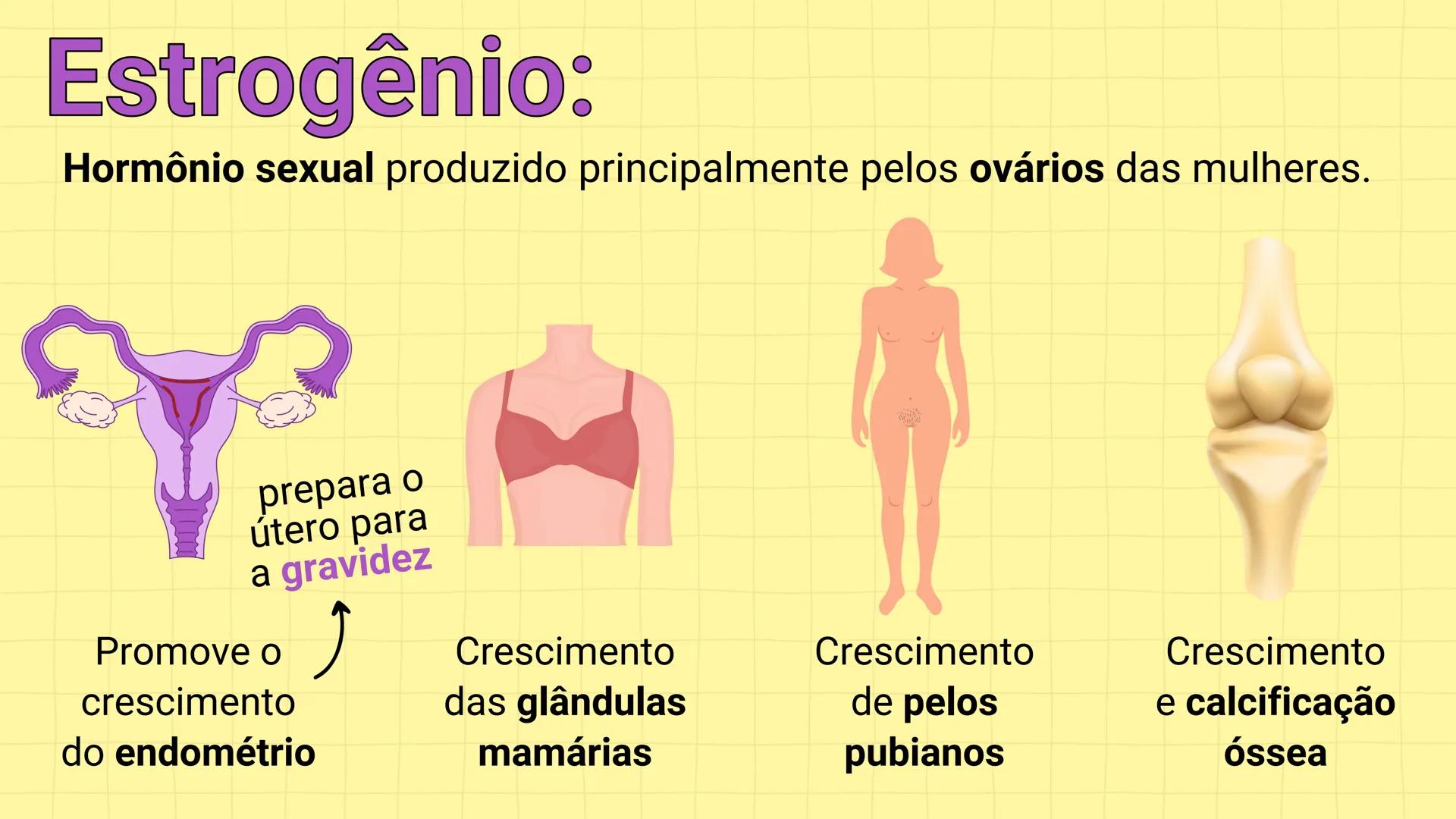 NA AULA DE HOJE...
SISTEMA
GENITAL
FEMININO
PROF. Me. Tatiane
Damasceno # Porque só as mulheres menstruam?
O que você acha? # Porque só a