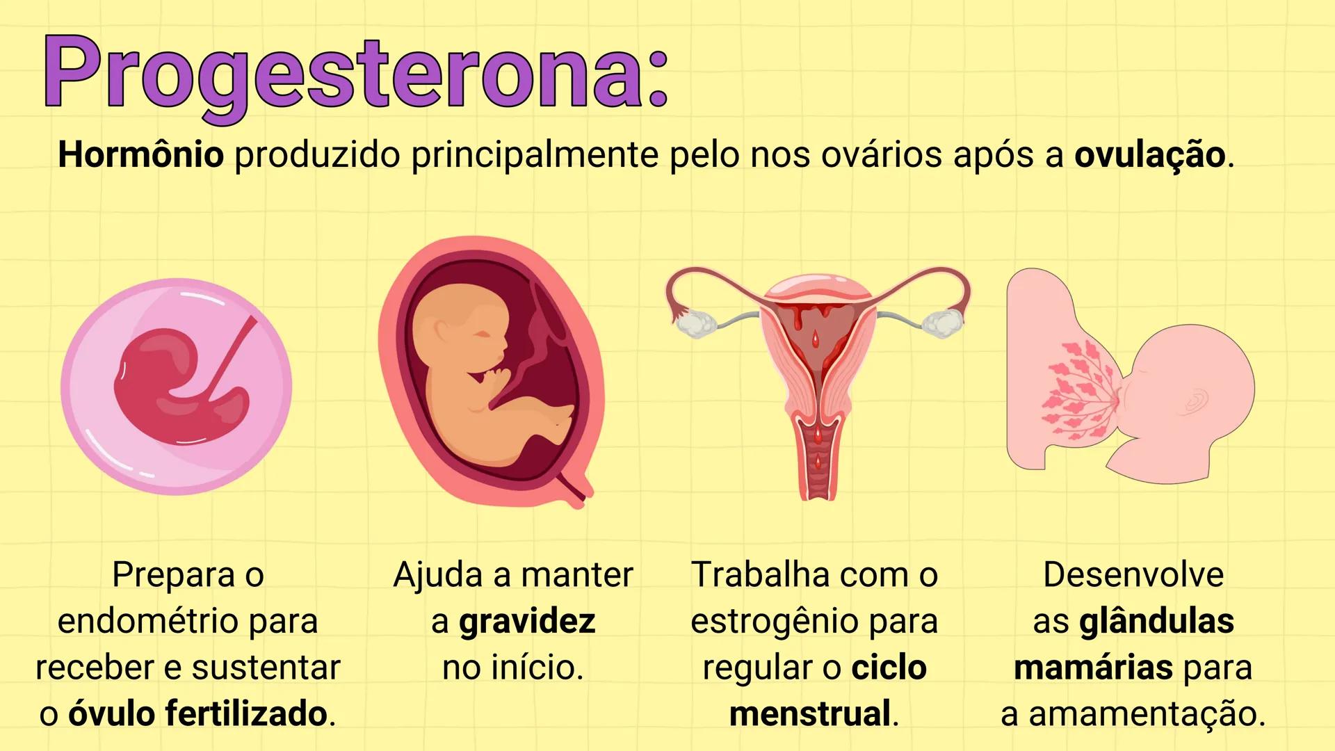 NA AULA DE HOJE...
SISTEMA
GENITAL
FEMININO
PROF. Me. Tatiane
Damasceno # Porque só as mulheres menstruam?
O que você acha? # Porque só a