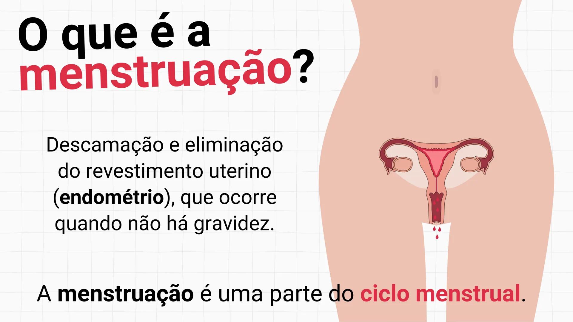 NA AULA DE HOJE...
SISTEMA
GENITAL
FEMININO
PROF. Me. Tatiane
Damasceno # Porque só as mulheres menstruam?
O que você acha? # Porque só a
