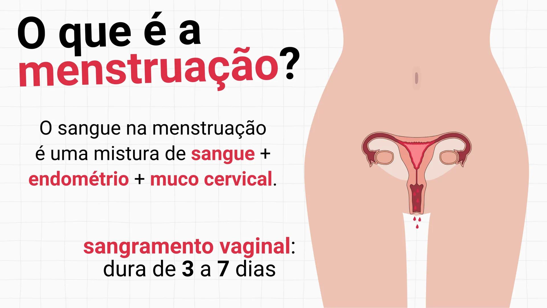 NA AULA DE HOJE...
SISTEMA
GENITAL
FEMININO
PROF. Me. Tatiane
Damasceno # Porque só as mulheres menstruam?
O que você acha? # Porque só a