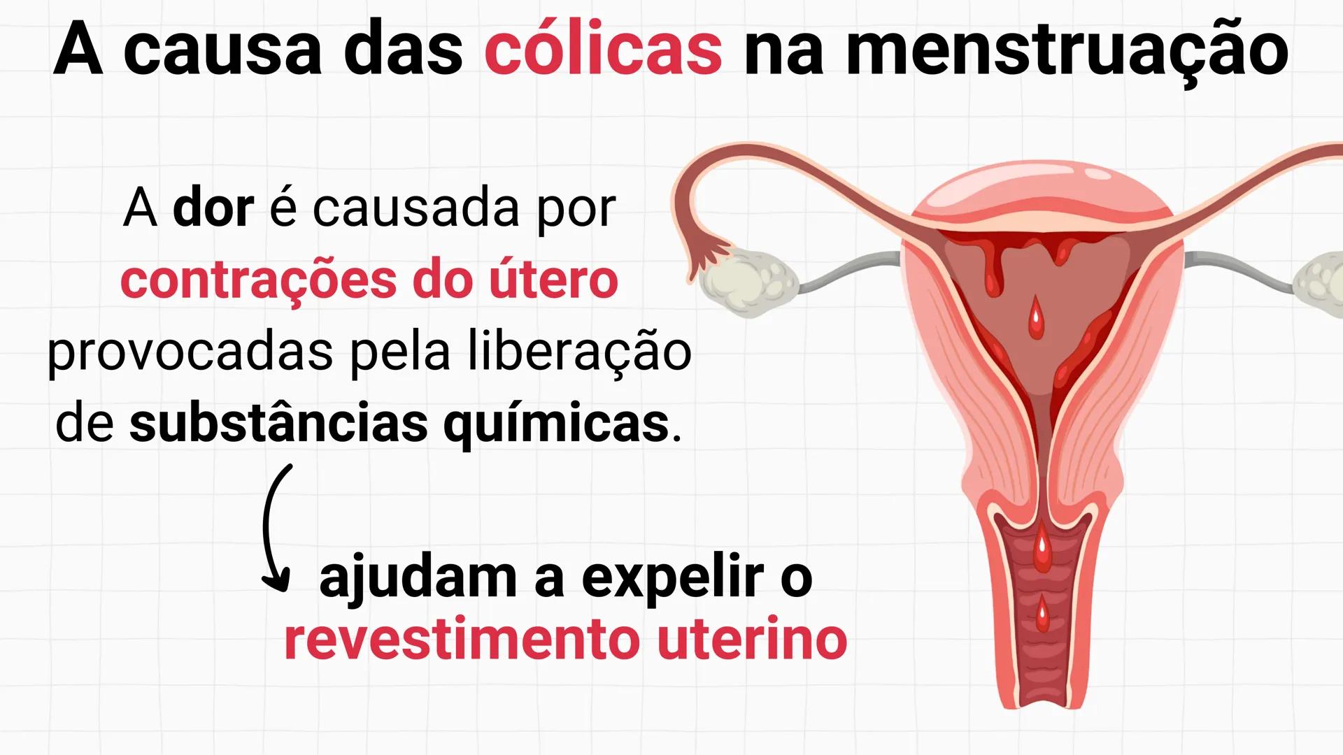 NA AULA DE HOJE...
SISTEMA
GENITAL
FEMININO
PROF. Me. Tatiane
Damasceno # Porque só as mulheres menstruam?
O que você acha? # Porque só a