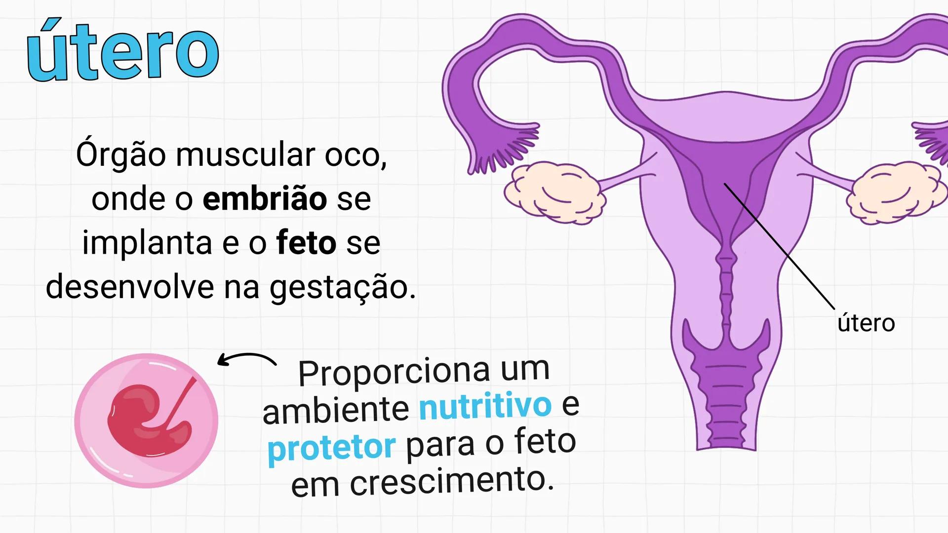 NA AULA DE HOJE...
SISTEMA
GENITAL
FEMININO
PROF. Me. Tatiane
Damasceno # Porque só as mulheres menstruam?
O que você acha? # Porque só a