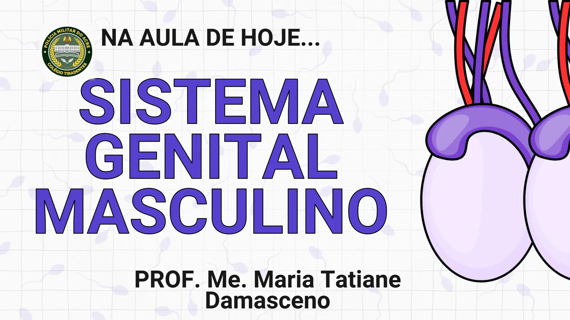 * POLÍCIA MILITAR DO ACRE
COLÉGIO TIRADENTES
NA AULA DE HOJE...
SISTEMA
GENITAL
MASCULINO
PROF. Me. Maria Tatiane
Damasceno # Quantos esperm