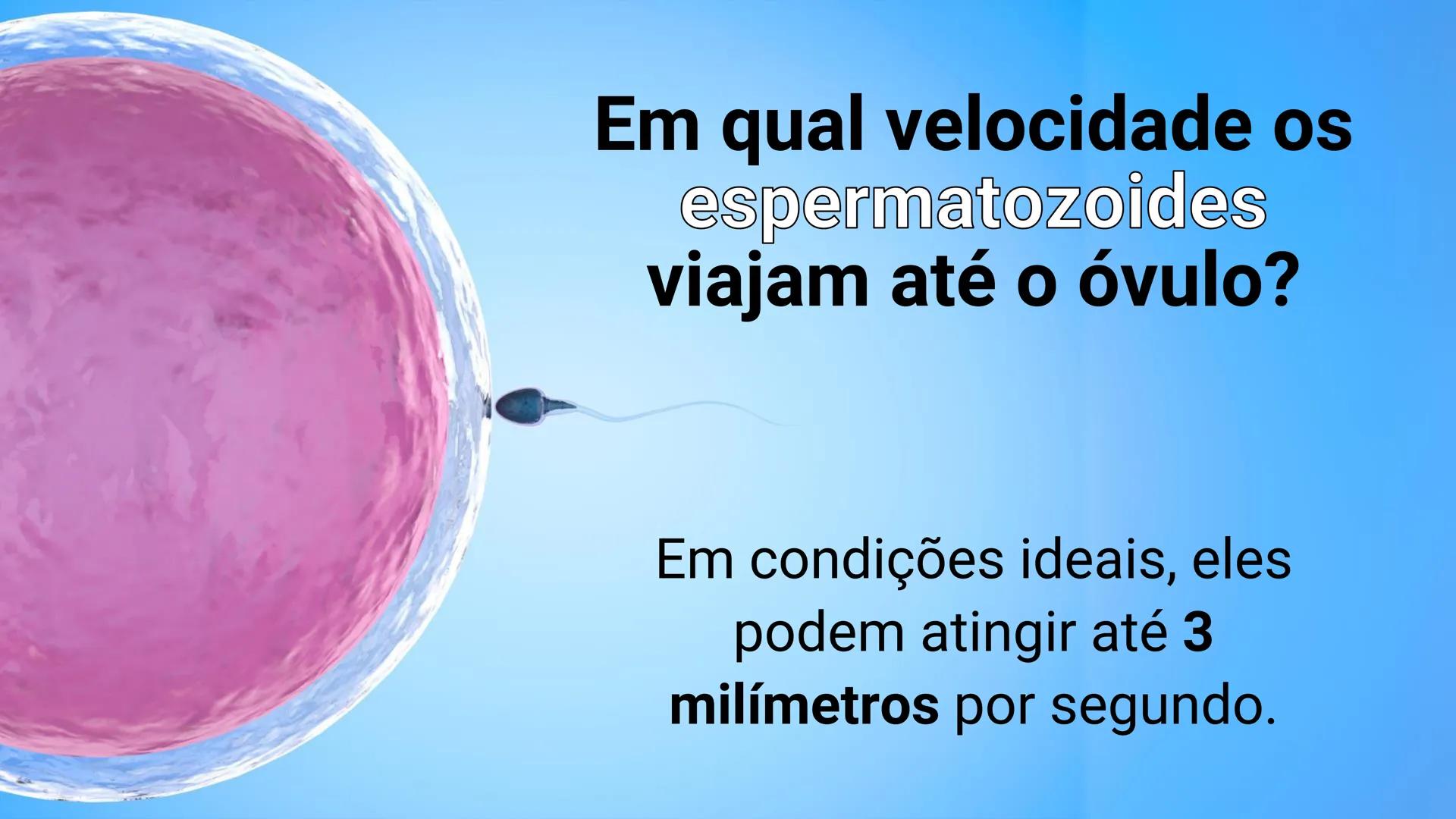 * POLÍCIA MILITAR DO ACRE
COLÉGIO TIRADENTES
NA AULA DE HOJE...
SISTEMA
GENITAL
MASCULINO
PROF. Me. Maria Tatiane
Damasceno # Quantos esperm