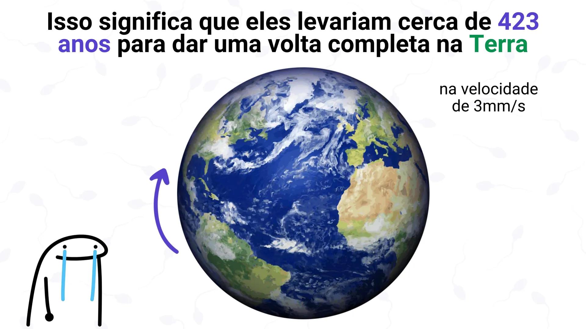 * POLÍCIA MILITAR DO ACRE
COLÉGIO TIRADENTES
NA AULA DE HOJE...
SISTEMA
GENITAL
MASCULINO
PROF. Me. Maria Tatiane
Damasceno # Quantos esperm
