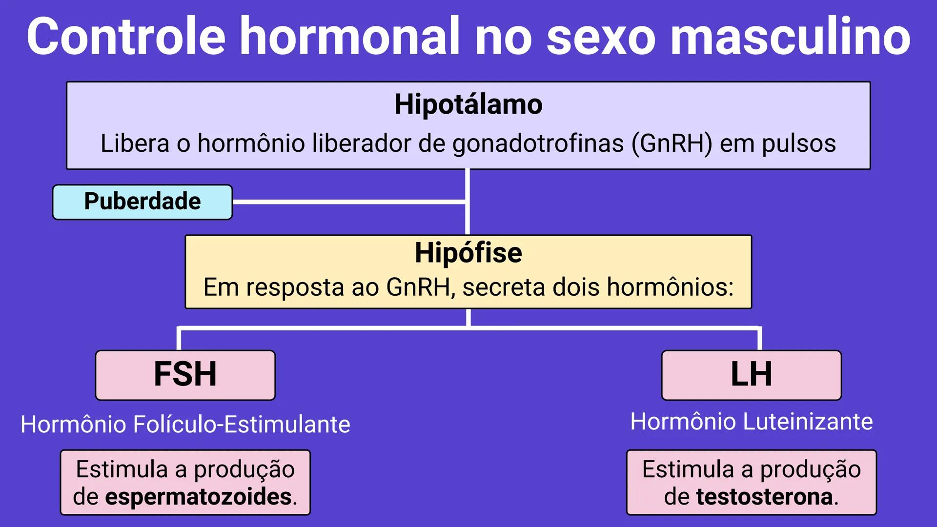 * POLÍCIA MILITAR DO ACRE
COLÉGIO TIRADENTES
NA AULA DE HOJE...
SISTEMA
GENITAL
MASCULINO
PROF. Me. Maria Tatiane
Damasceno # Quantos esperm