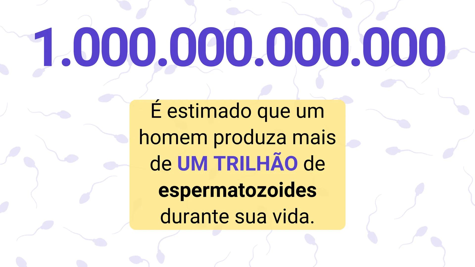 * POLÍCIA MILITAR DO ACRE
COLÉGIO TIRADENTES
NA AULA DE HOJE...
SISTEMA
GENITAL
MASCULINO
PROF. Me. Maria Tatiane
Damasceno # Quantos esperm