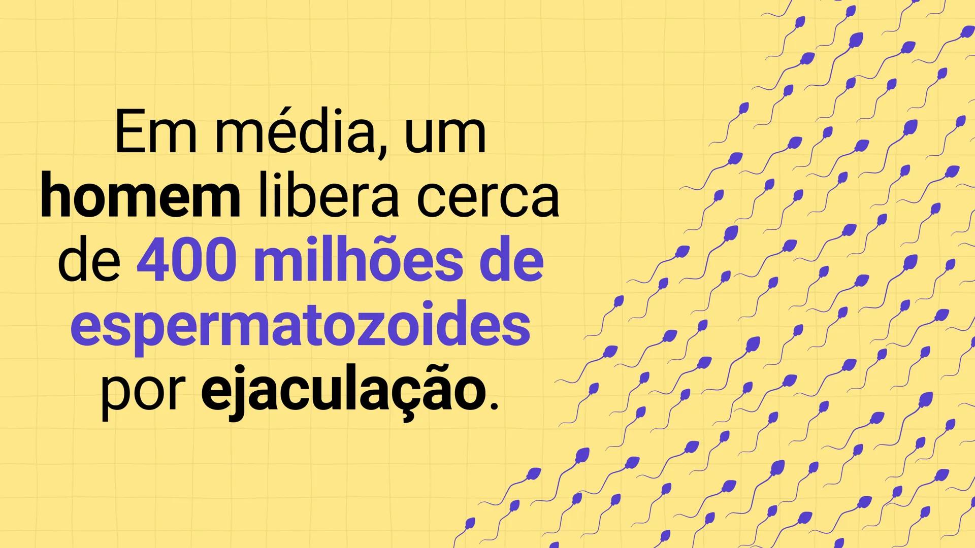* POLÍCIA MILITAR DO ACRE
COLÉGIO TIRADENTES
NA AULA DE HOJE...
SISTEMA
GENITAL
MASCULINO
PROF. Me. Maria Tatiane
Damasceno # Quantos esperm