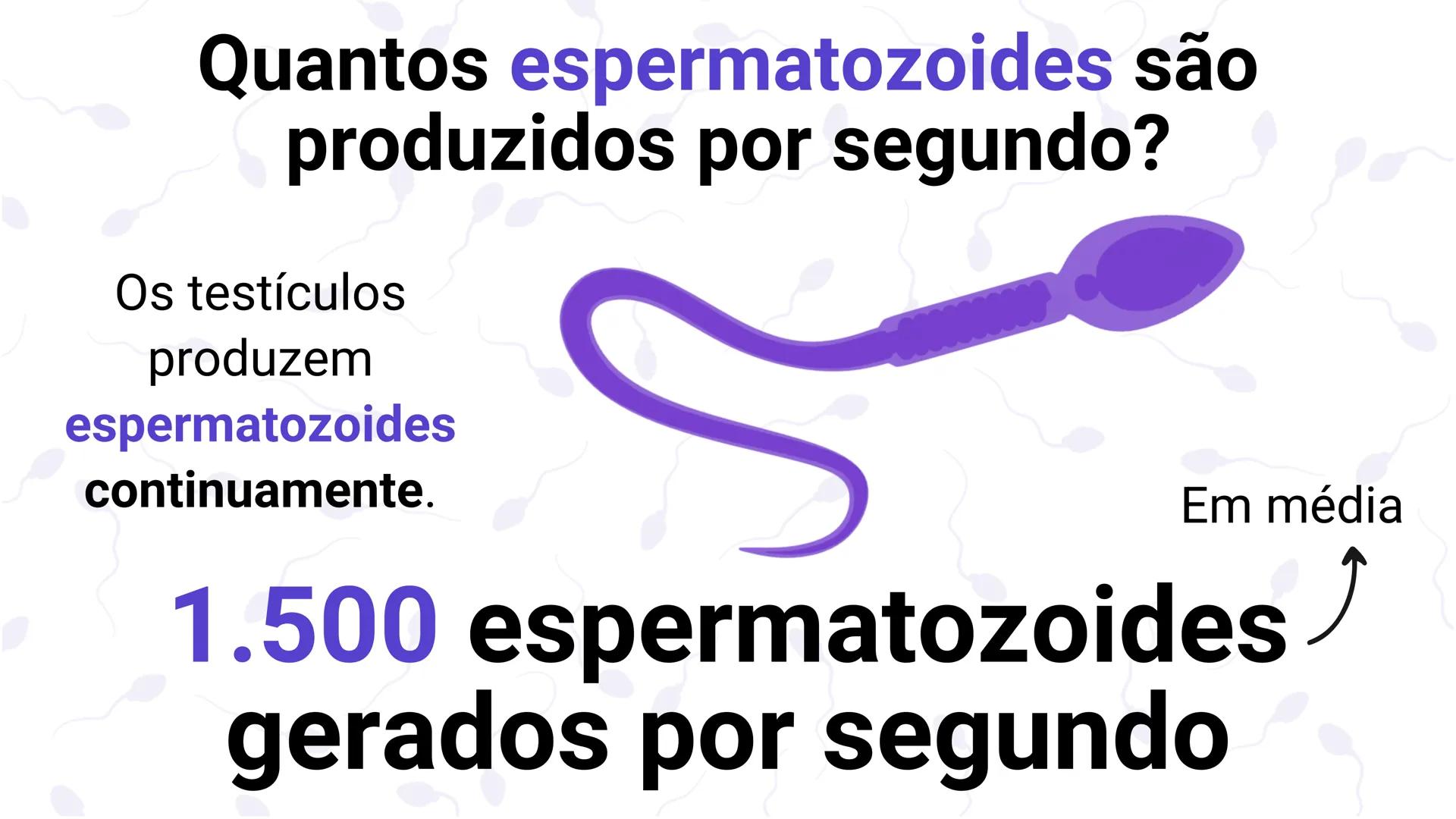 * POLÍCIA MILITAR DO ACRE
COLÉGIO TIRADENTES
NA AULA DE HOJE...
SISTEMA
GENITAL
MASCULINO
PROF. Me. Maria Tatiane
Damasceno # Quantos esperm