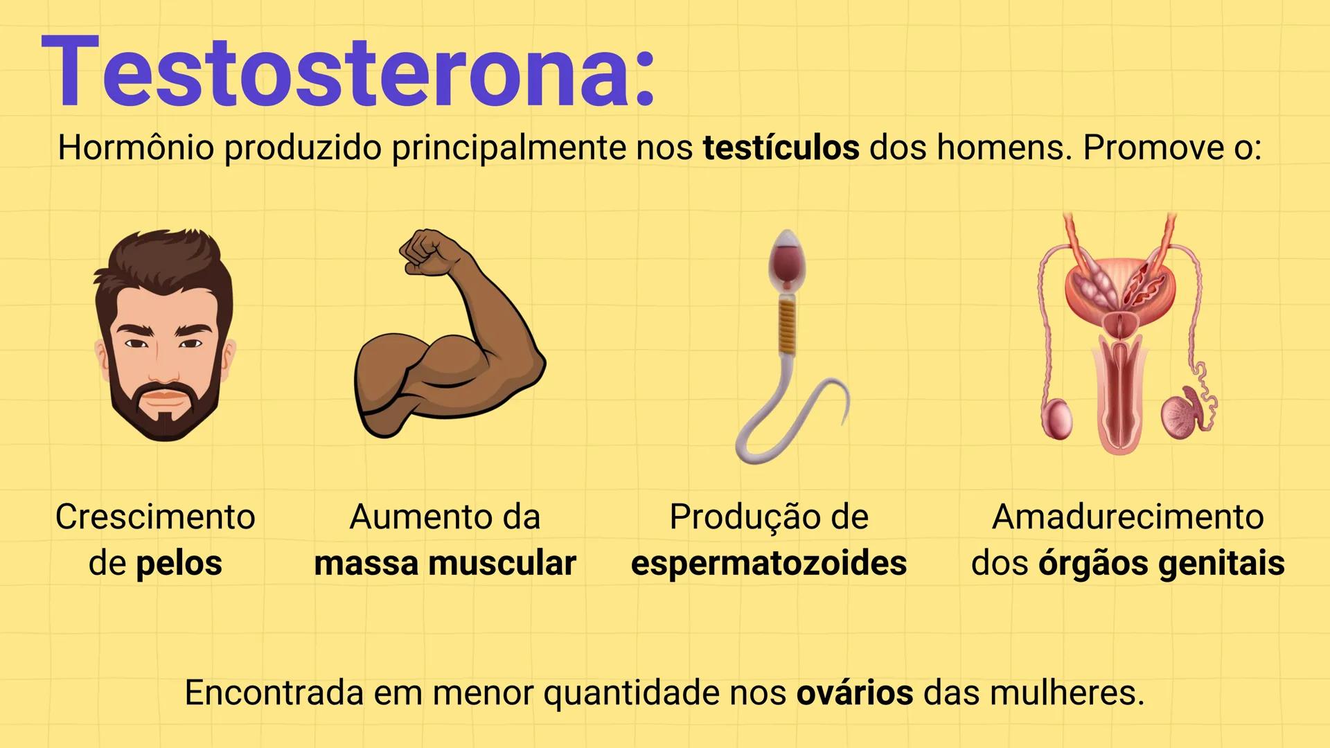 * POLÍCIA MILITAR DO ACRE
COLÉGIO TIRADENTES
NA AULA DE HOJE...
SISTEMA
GENITAL
MASCULINO
PROF. Me. Maria Tatiane
Damasceno # Quantos esperm