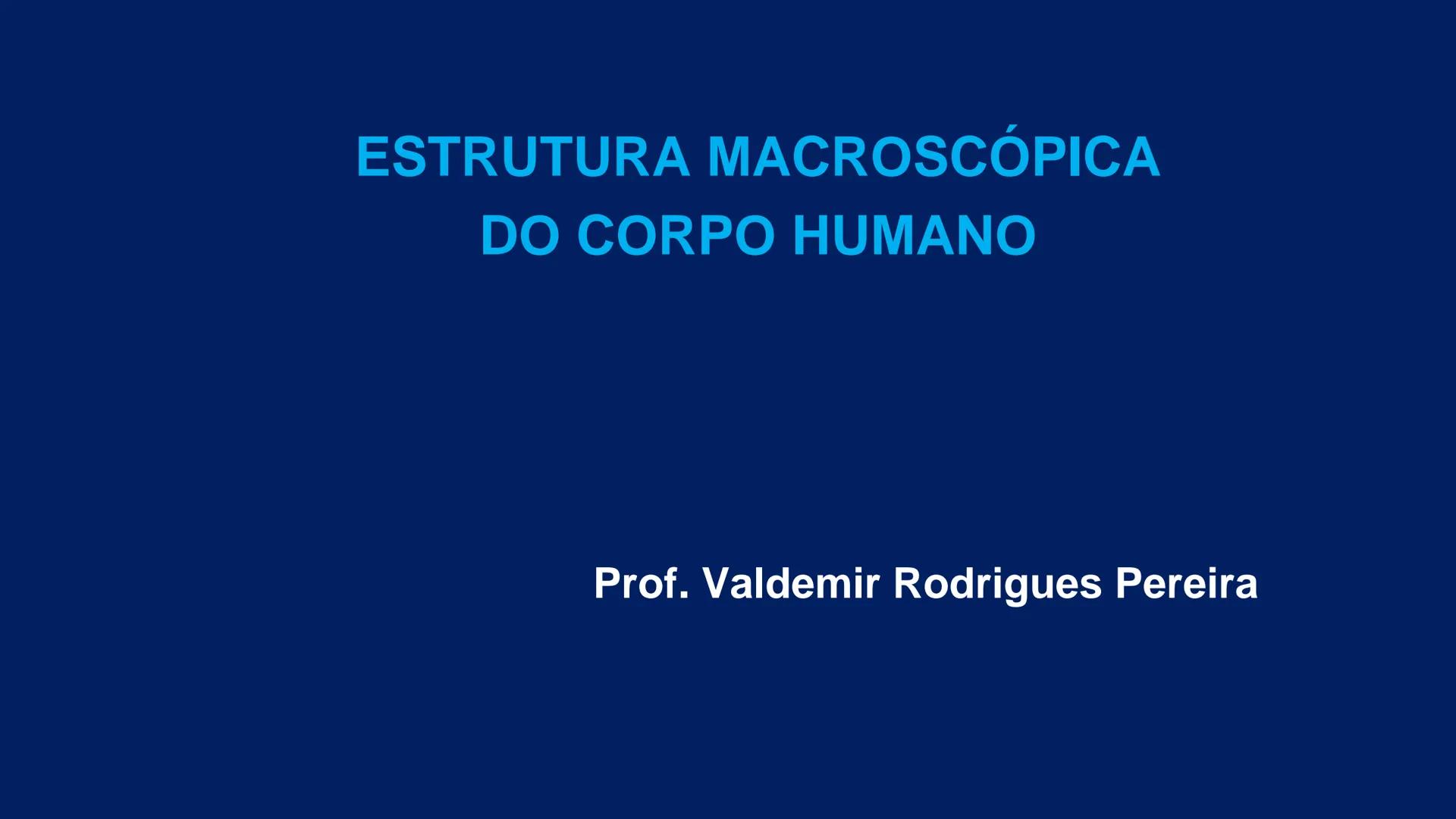 # ESTRUTURA MACROSCÓPICA
DO CORPO HUMANO
Prof. Valdemir Rodrigues Pereira ## Aparelho Locomotor # APARELHO LOCOMOTOR
- Sistema Esquelétic