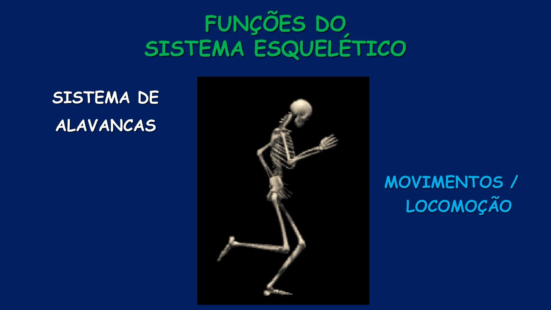 # ESTRUTURA MACROSCÓPICA
DO CORPO HUMANO
Prof. Valdemir Rodrigues Pereira ## Aparelho Locomotor # APARELHO LOCOMOTOR
- Sistema Esquelétic