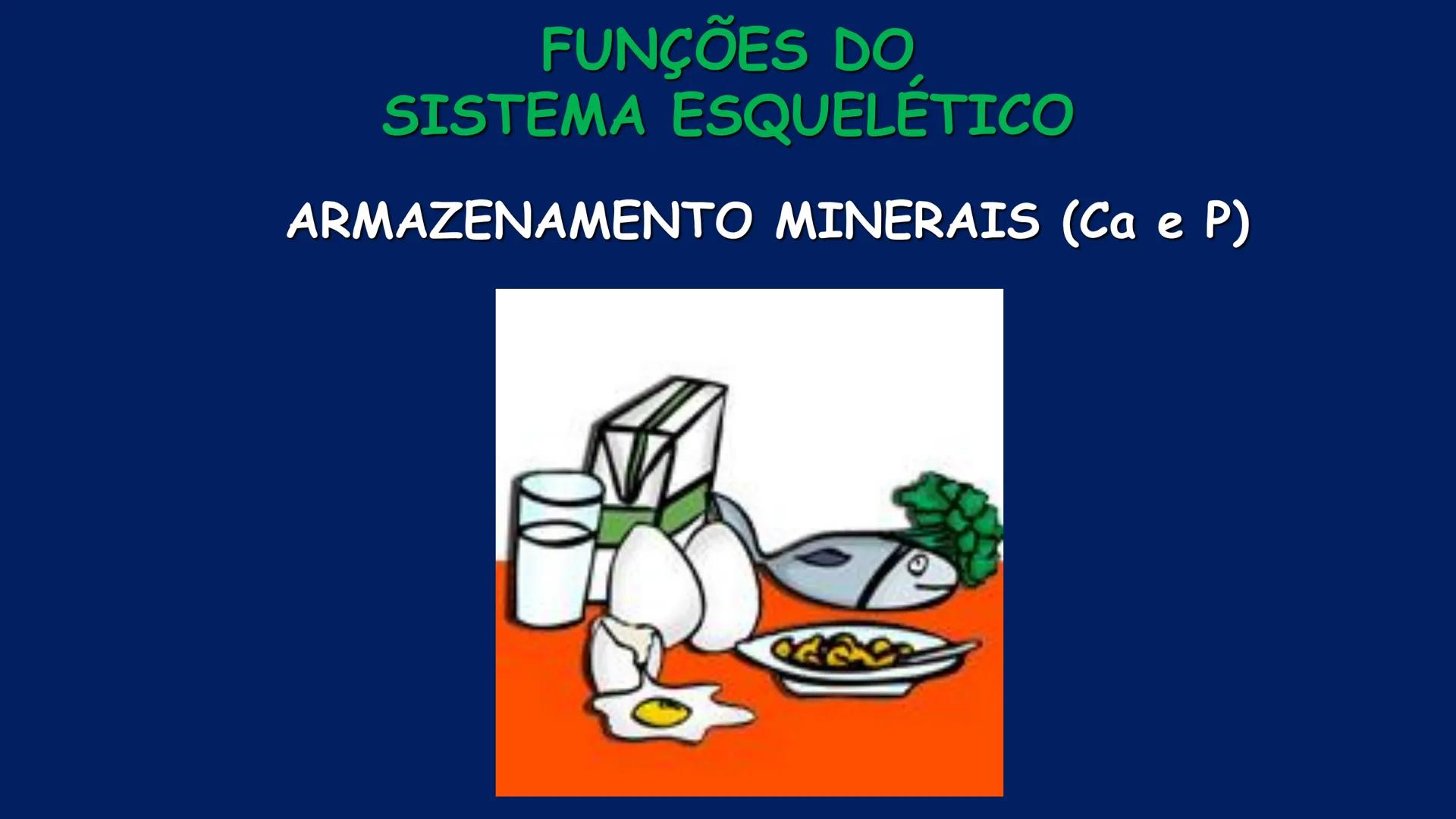 # ESTRUTURA MACROSCÓPICA
DO CORPO HUMANO
Prof. Valdemir Rodrigues Pereira ## Aparelho Locomotor # APARELHO LOCOMOTOR
- Sistema Esquelétic