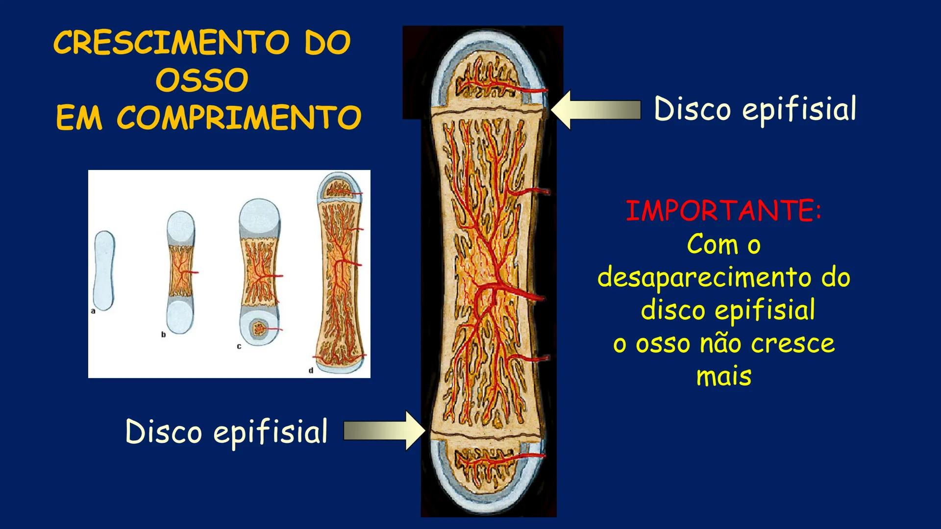 # ESTRUTURA MACROSCÓPICA
DO CORPO HUMANO
Prof. Valdemir Rodrigues Pereira ## Aparelho Locomotor # APARELHO LOCOMOTOR
- Sistema Esquelétic