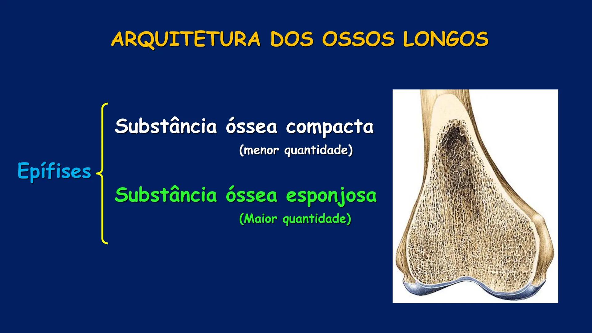 # ESTRUTURA MACROSCÓPICA
DO CORPO HUMANO
Prof. Valdemir Rodrigues Pereira ## Aparelho Locomotor # APARELHO LOCOMOTOR
- Sistema Esquelétic