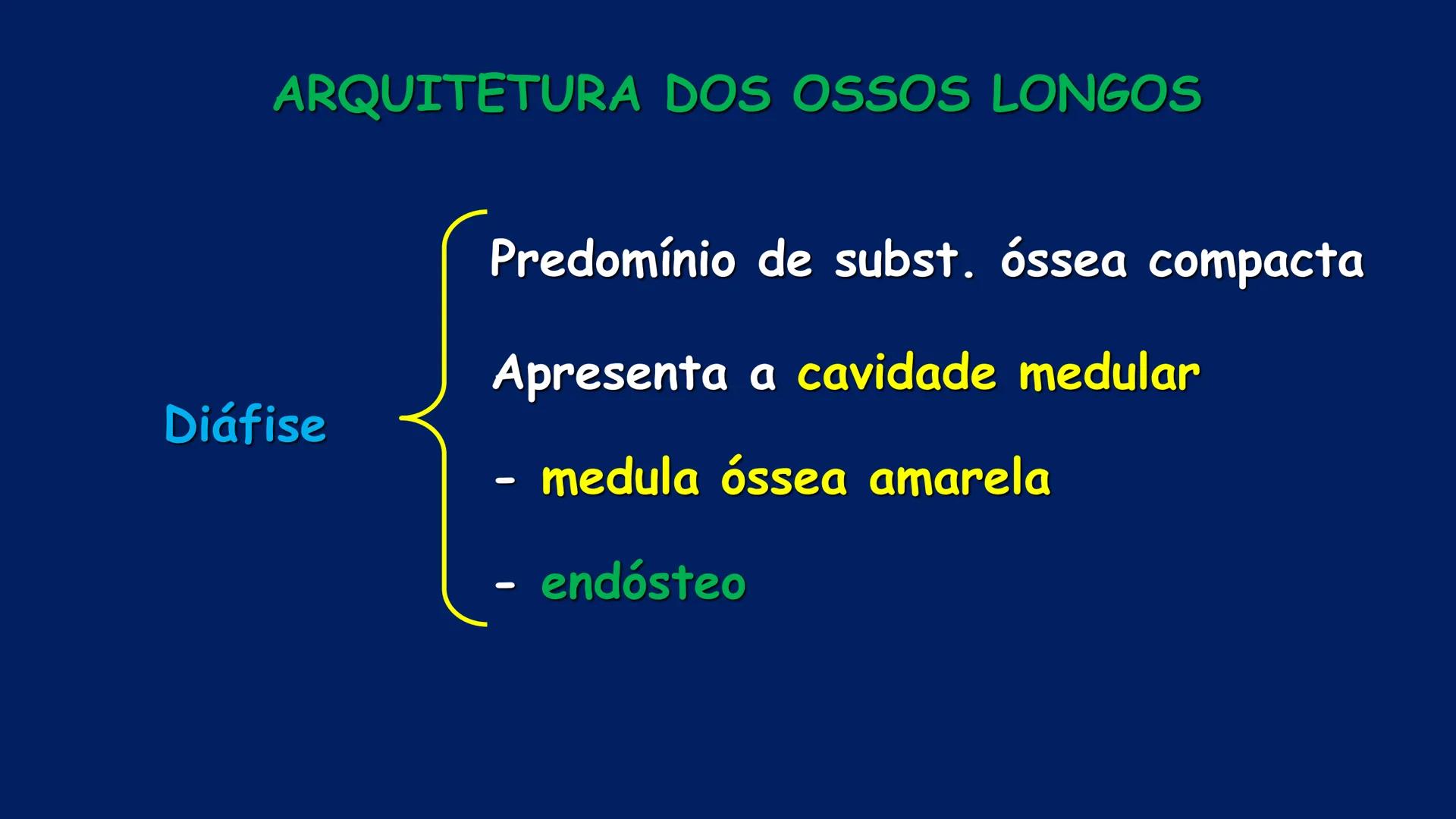 # ESTRUTURA MACROSCÓPICA
DO CORPO HUMANO
Prof. Valdemir Rodrigues Pereira ## Aparelho Locomotor # APARELHO LOCOMOTOR
- Sistema Esquelétic