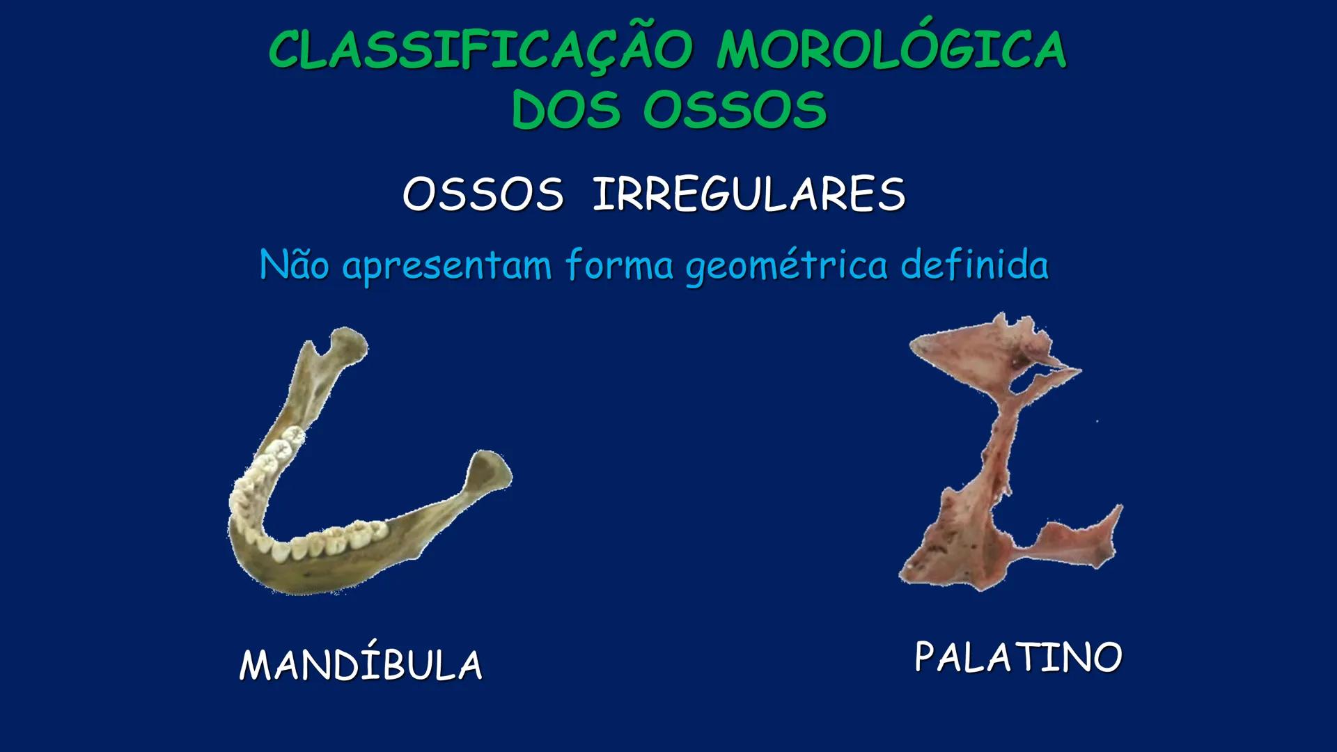 # ESTRUTURA MACROSCÓPICA
DO CORPO HUMANO
Prof. Valdemir Rodrigues Pereira ## Aparelho Locomotor # APARELHO LOCOMOTOR
- Sistema Esquelétic