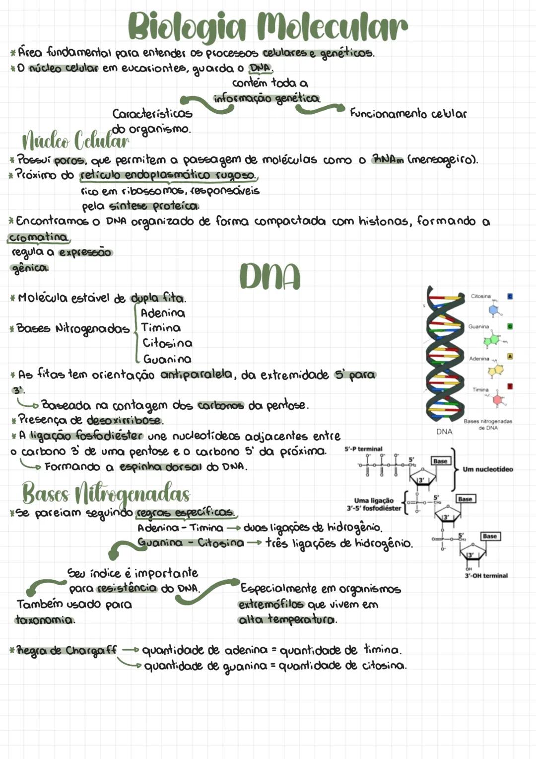 Biologia Molecular
*Area fundamental para entender os processos celulares e genéticos.
*O núcleo celular em eucariontes, guarda o DNA.
Carac