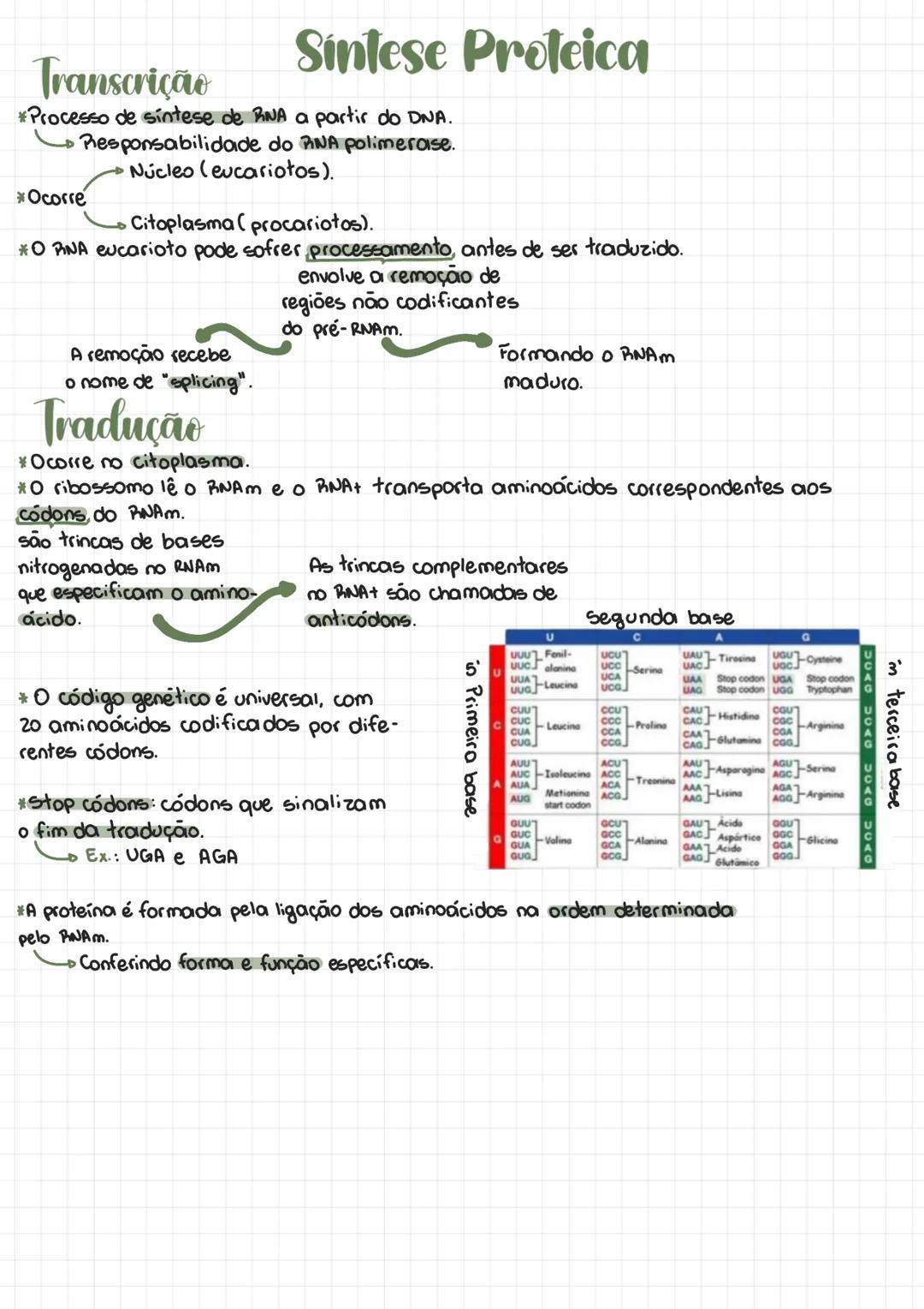 Biologia Molecular
*Area fundamental para entender os processos celulares e genéticos.
*O núcleo celular em eucariontes, guarda o DNA.
Carac