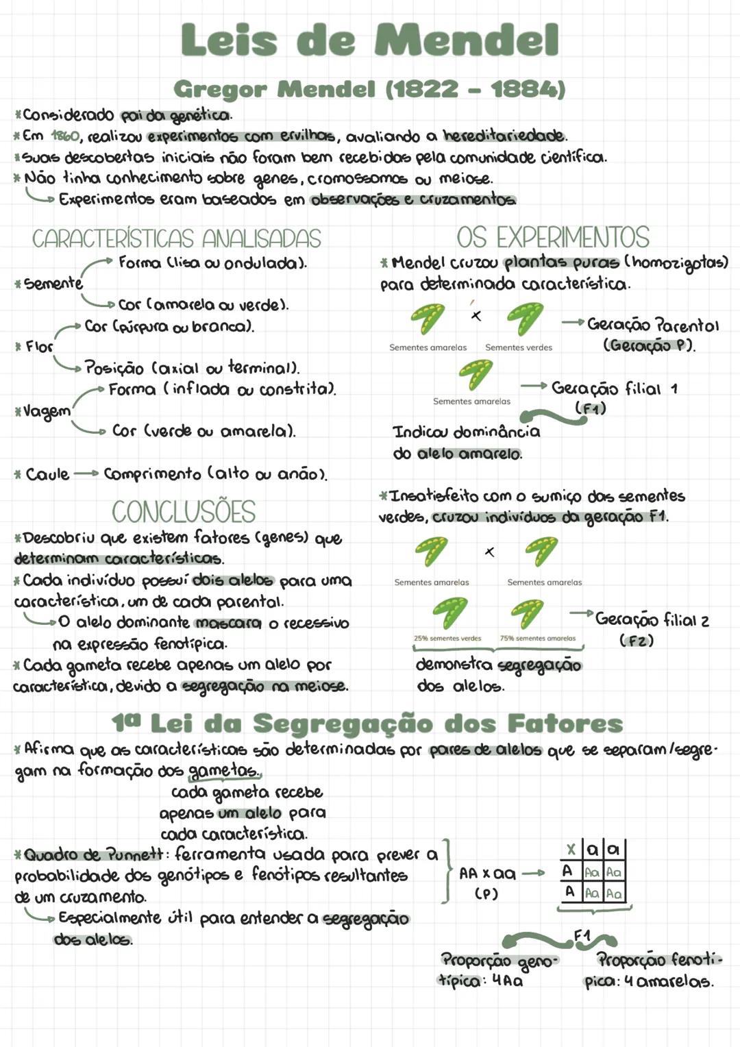 Leis de Mendel
Gregor Mendel (1822 - 1884)
*Considerado pai da genética.
*Em 1860, realizou experimentos com ervilhas, avaliando a hereditar